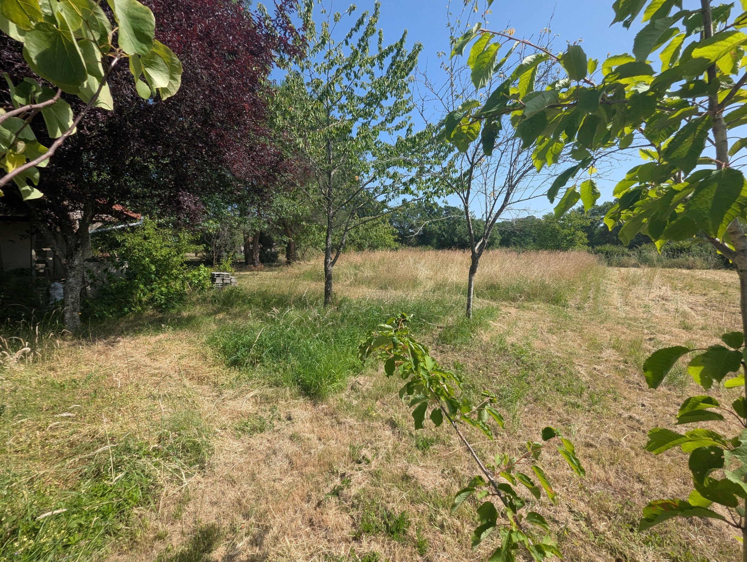 Photo 3 - Maison de campagne avec vie de plain-pied !