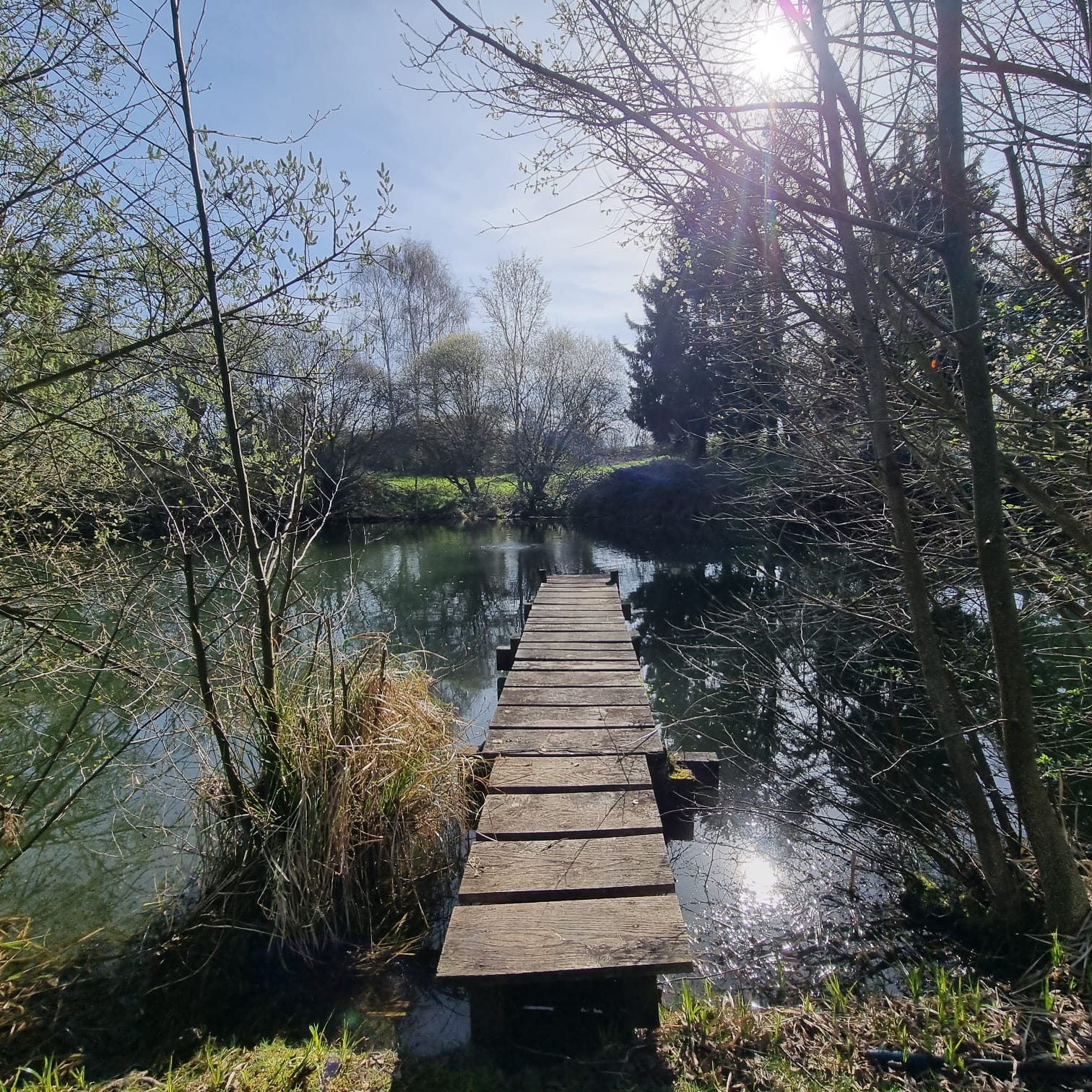 Photo 19 - Maison de campagne avec étangs !
