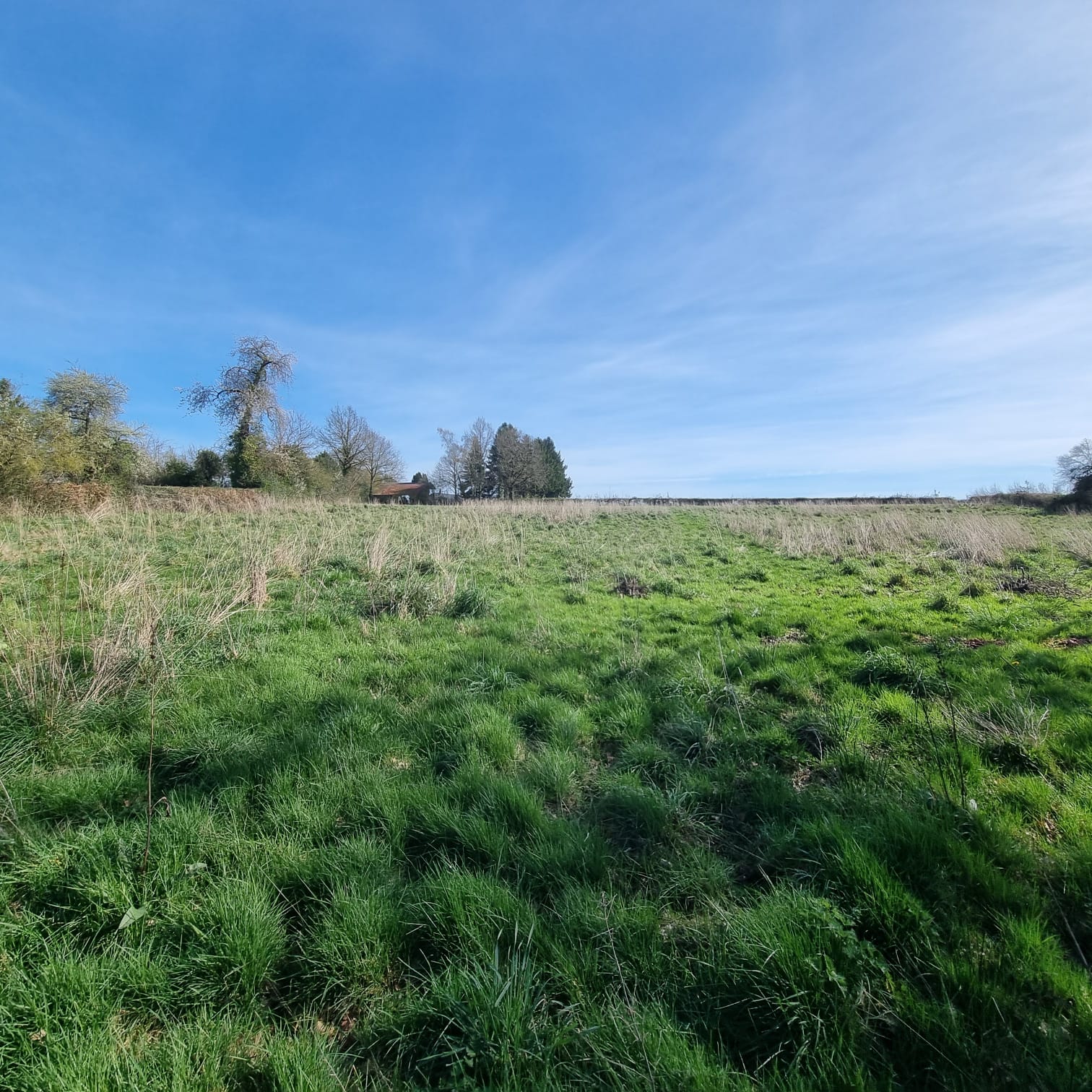 Photo 17 - Maison de campagne avec étangs !