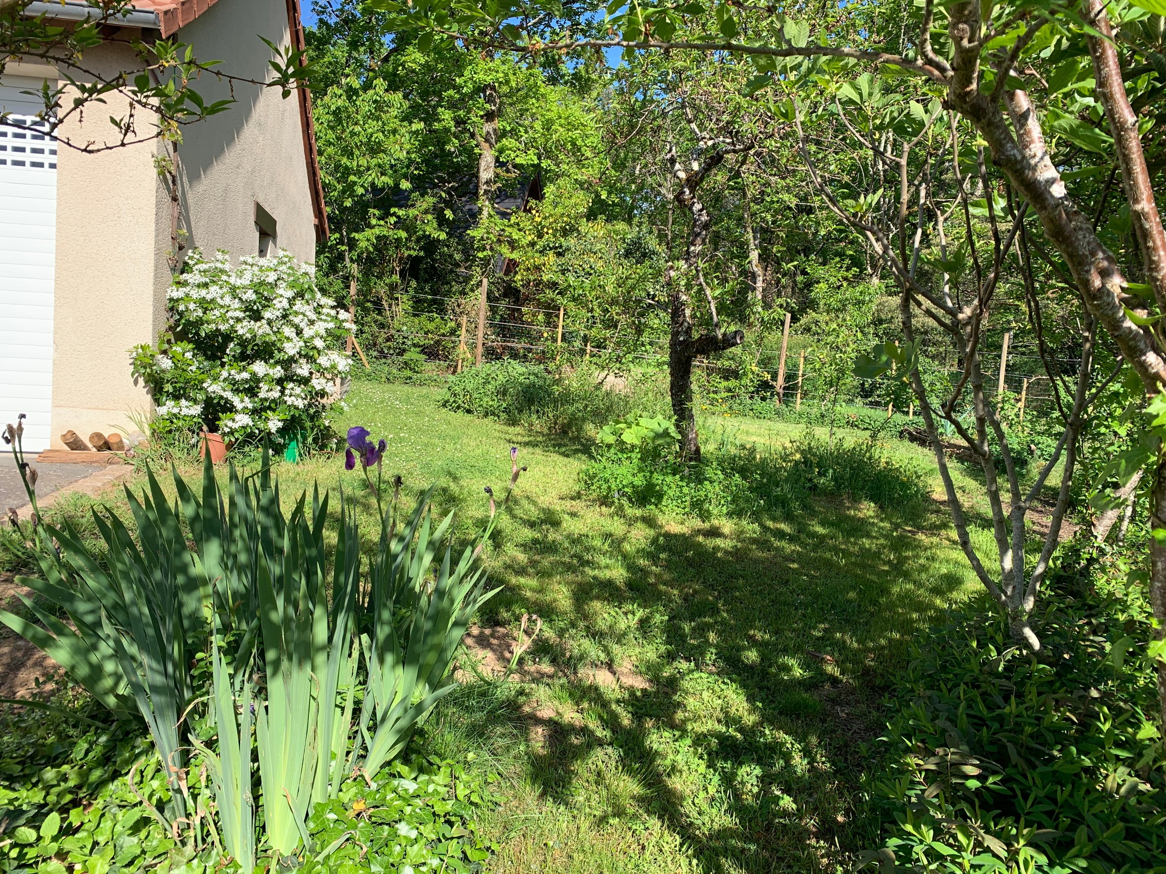 Photo 32 - Maison avec double garage et jardin arboré