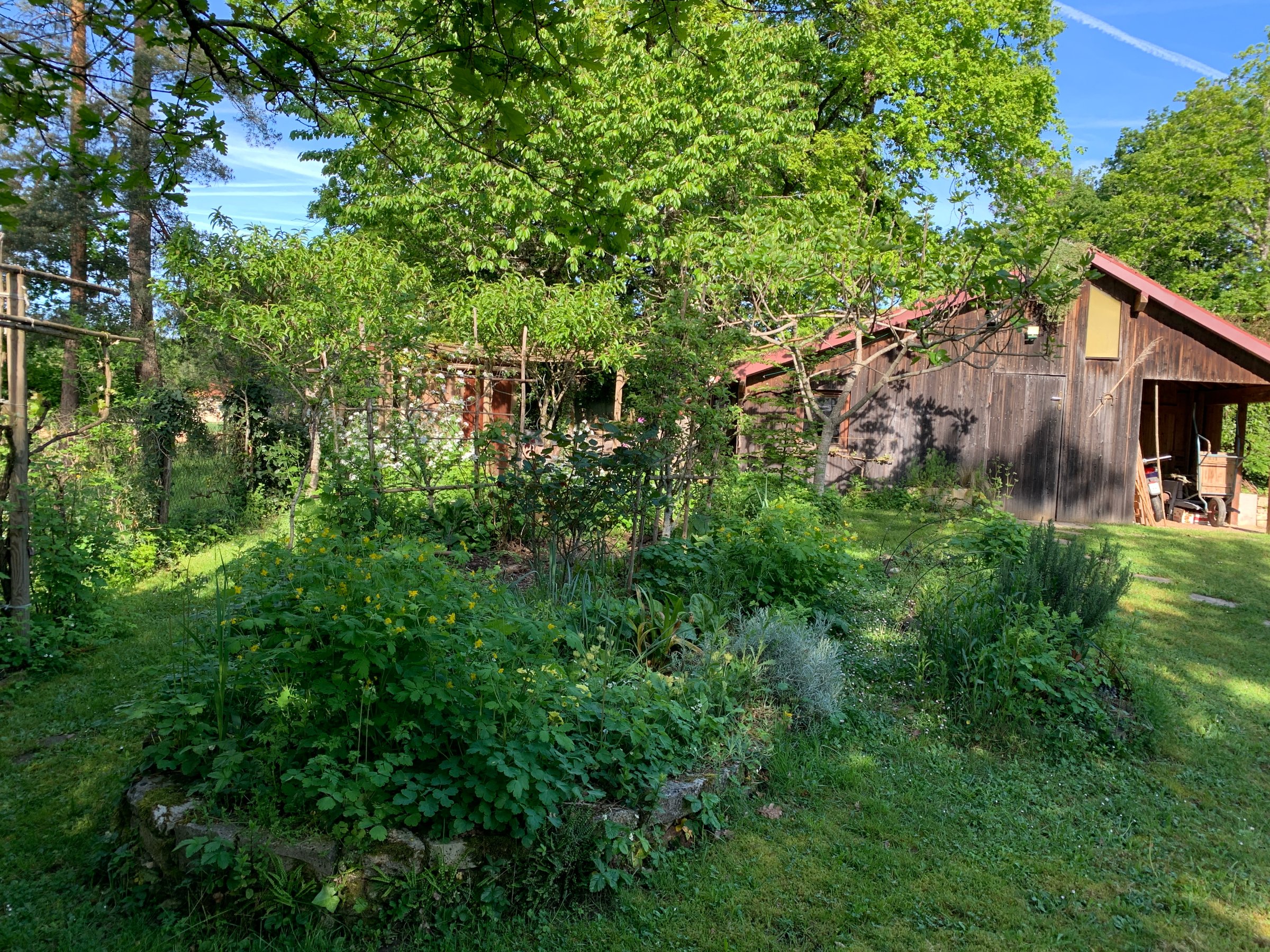 Photo 29 - Maison avec double garage et jardin arboré