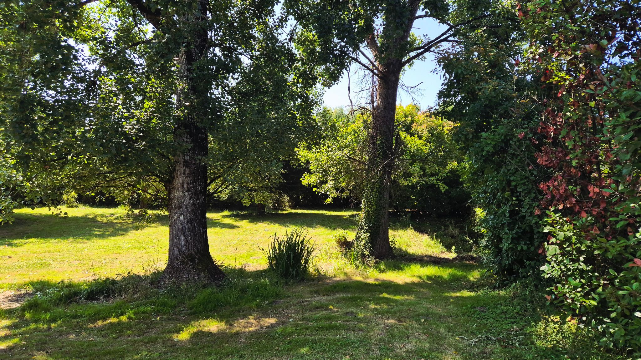 Photo 8 - Offre exceptionnelle pour cette Belle maison en Périgord Noir avec source, piscine et joli de terrain Proche Sarlat