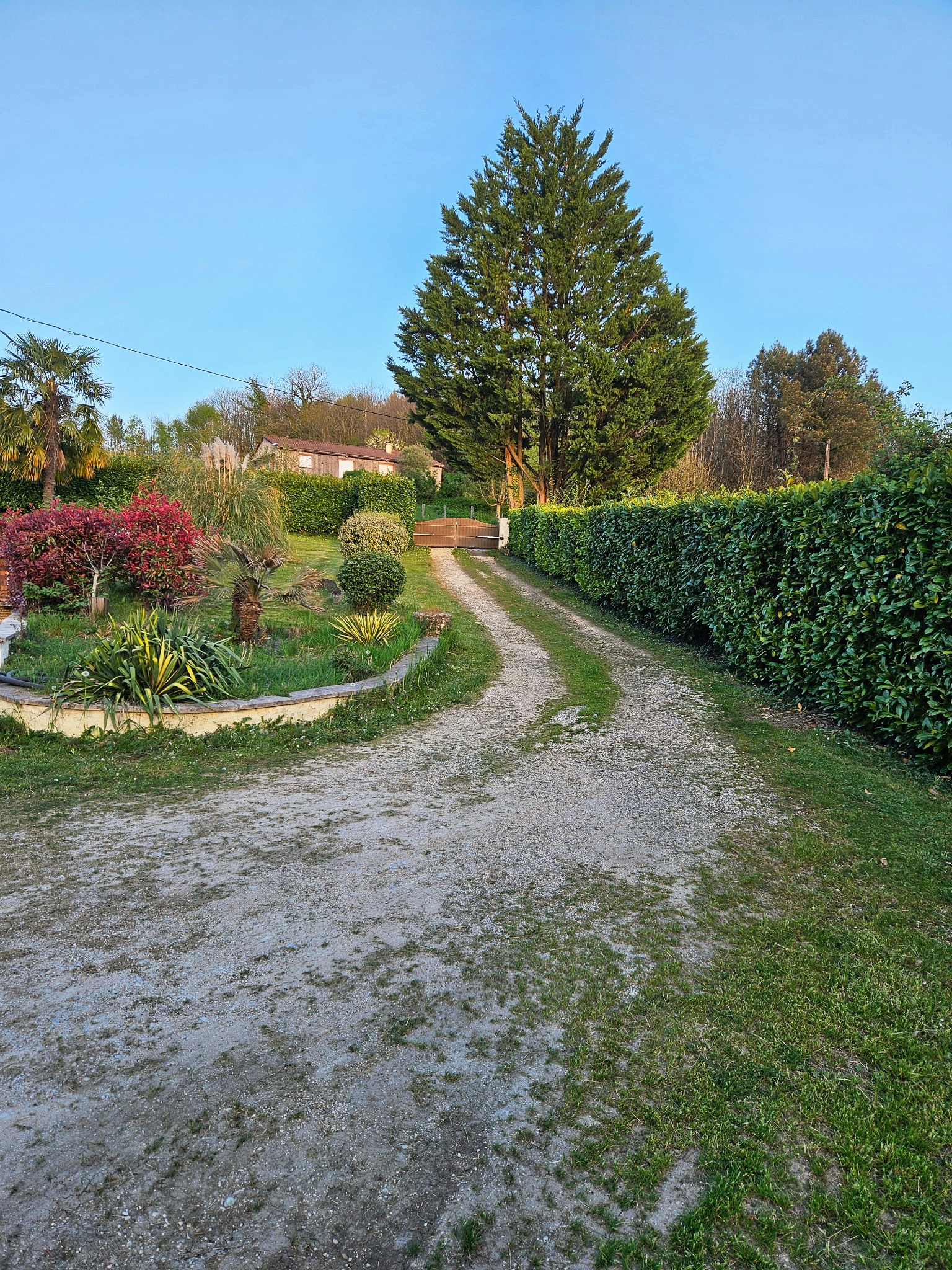 Photo 3 - Offre exceptionnelle pour cette Belle maison en Périgord Noir avec source, piscine et joli de terrain Proche Sarlat