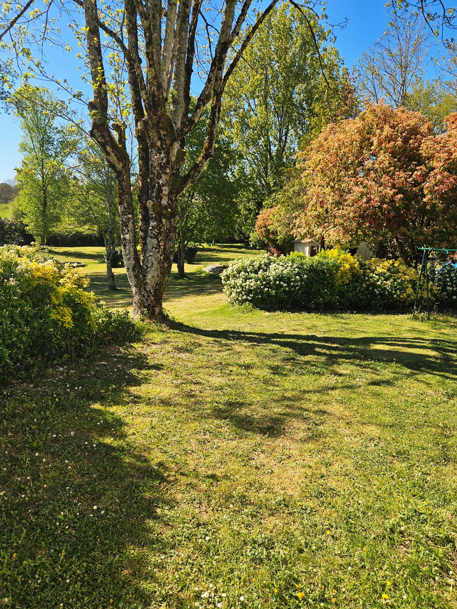 Photo 7 - Offre exceptionnelle pour cette Belle maison en Périgord Noir avec source, piscine et joli de terrain Proche Sarlat
