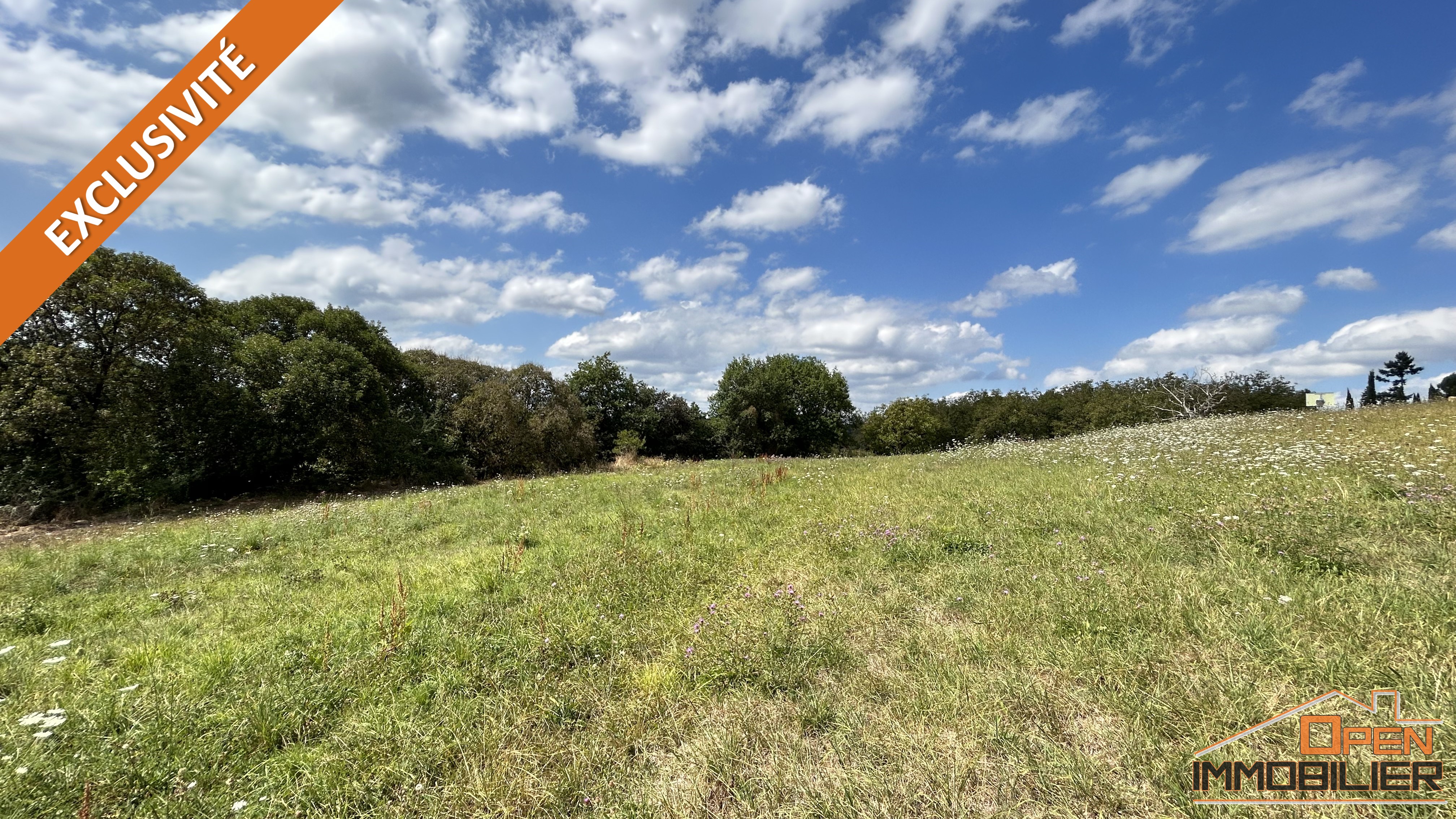 Terrain à bâtir 4 000m² - Photo 3