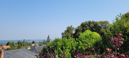 Photo 18 - Coup de coeur pour maison de bourg 1814 avec jardin