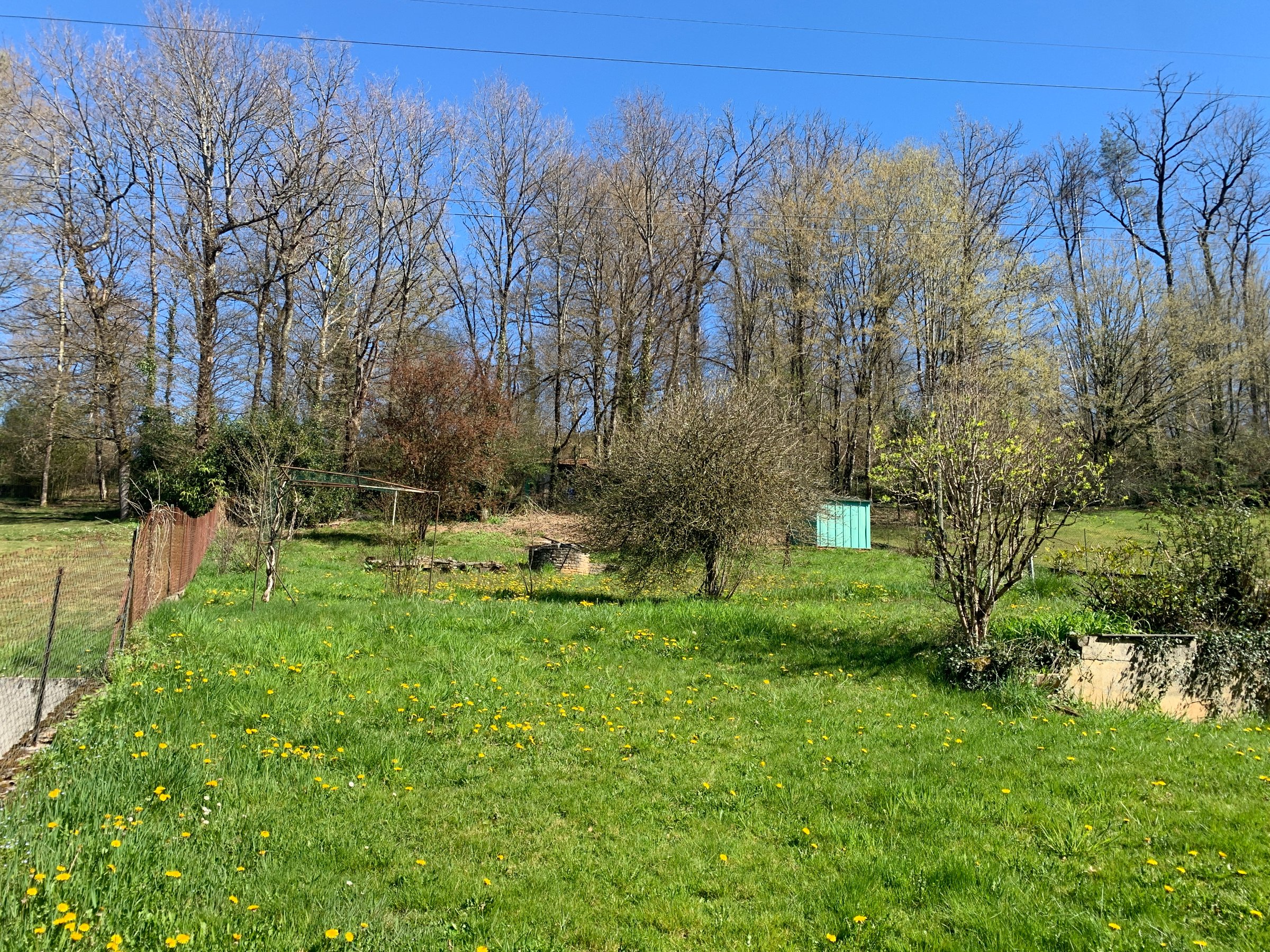 Maison avec jardin - Photo 3