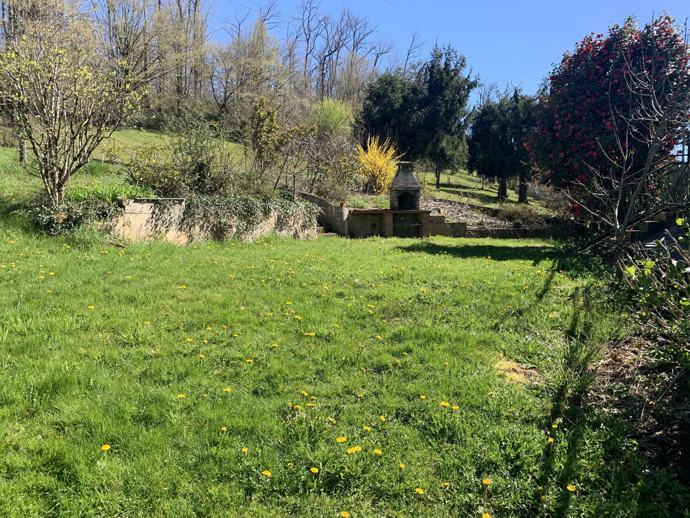 Photo 28 - Maison avec jardin
