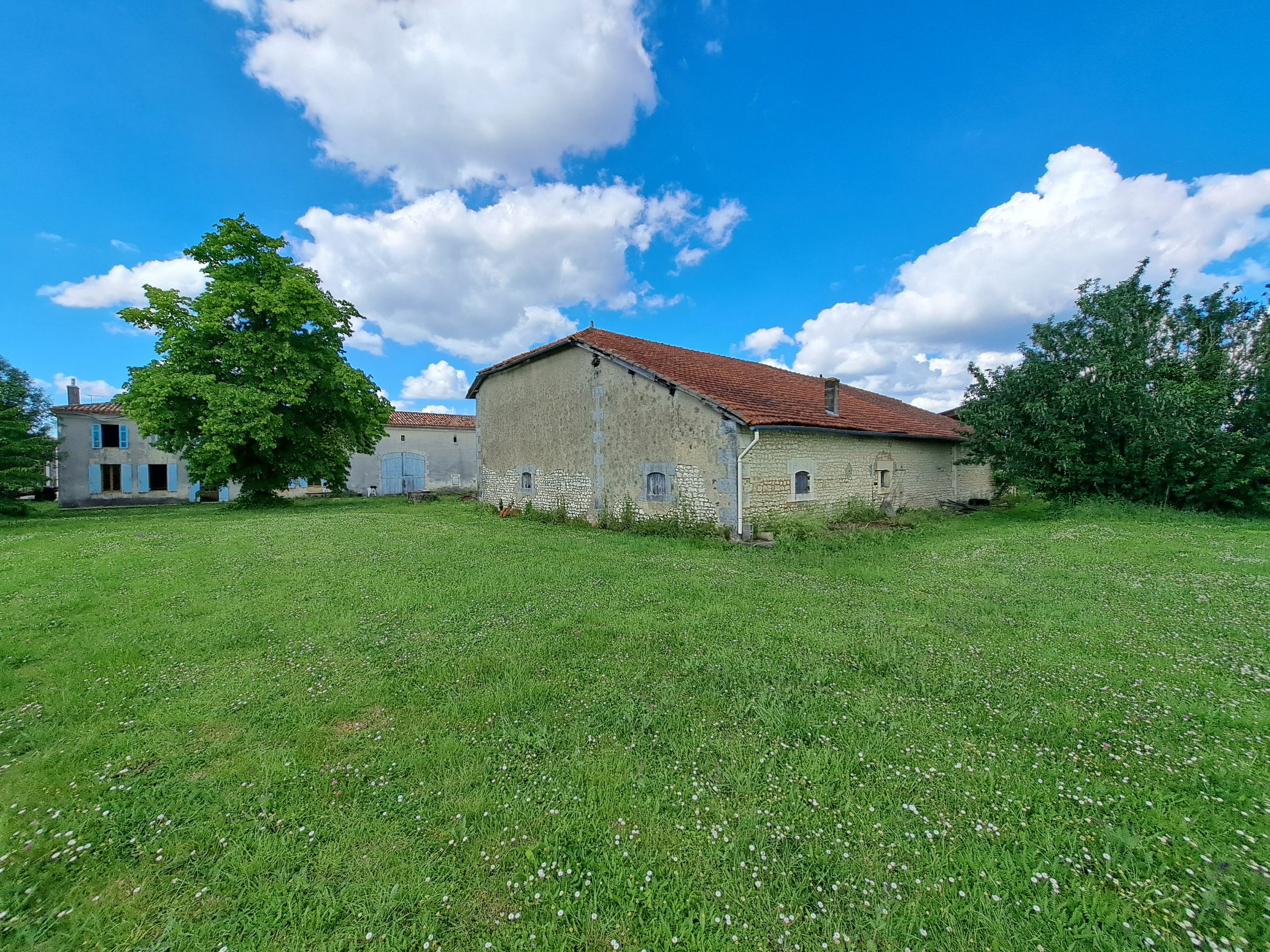 Photo 17 - Maison Charentaise avec dépendances et jardin – 190 m² – 6 pièces – 4216 m²