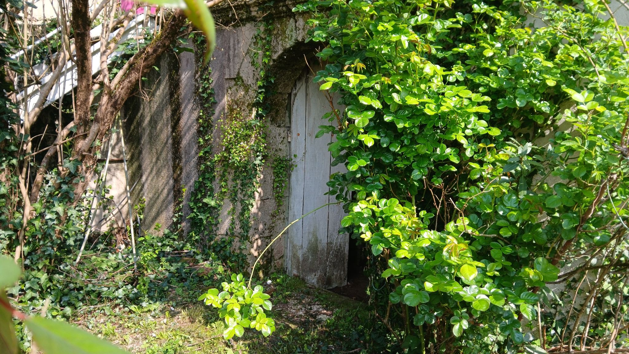 Photo 15 - Maison de ville avec jardin