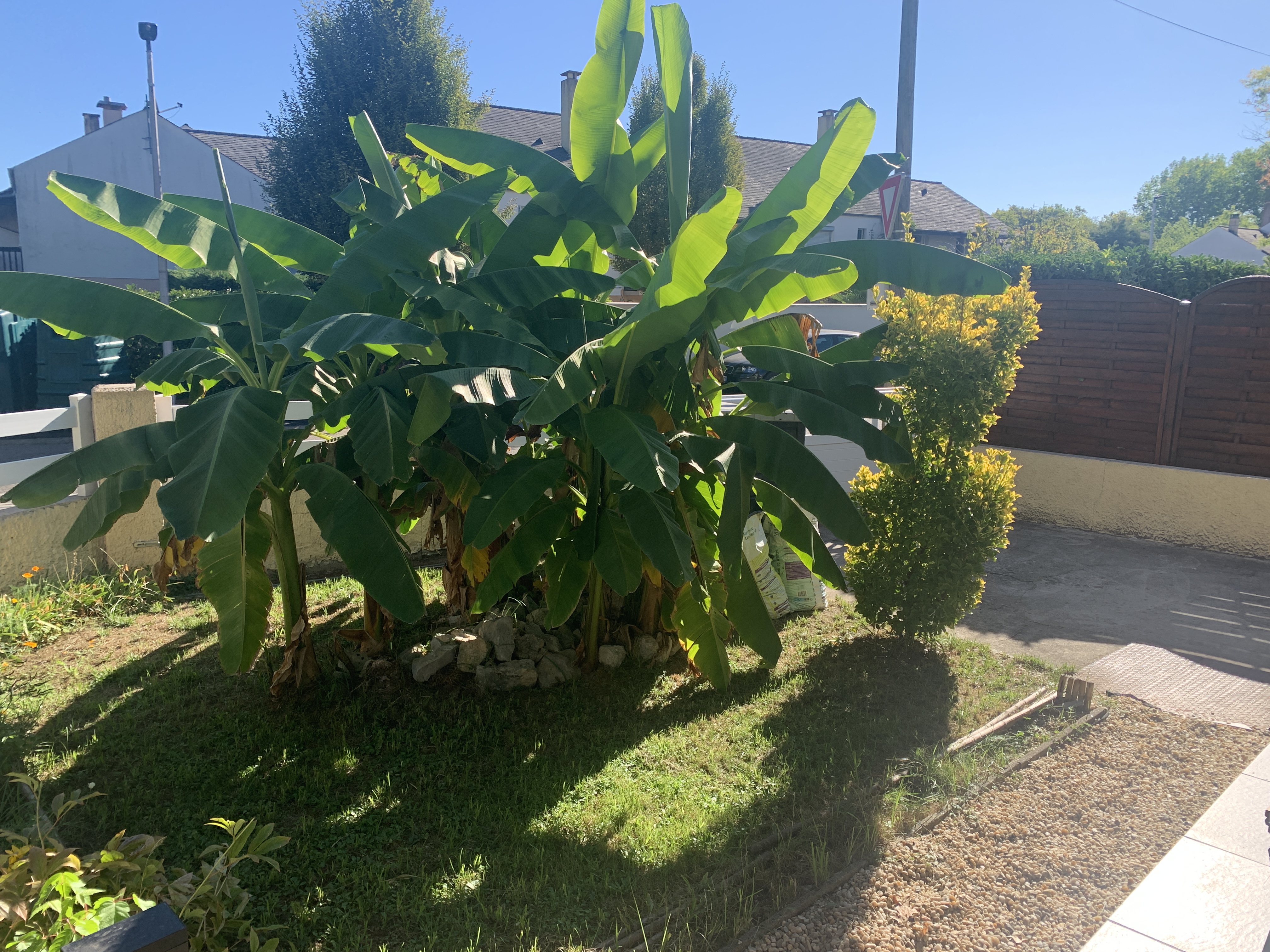 Photo 24 - Maison de plain-pied avec jardin