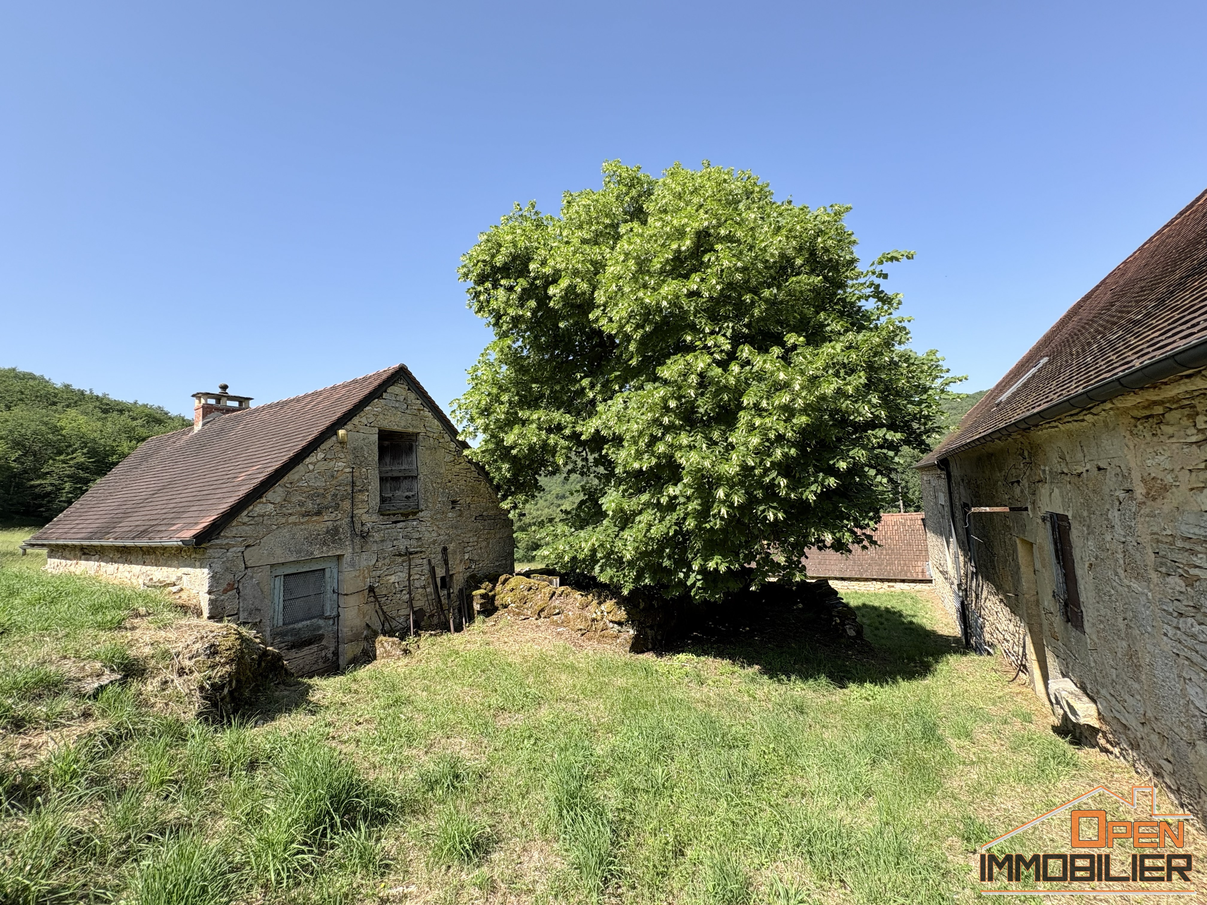 Photo 19 - Corps de ferme 170m²- dépendances 230m²- Terrain 9 490m²