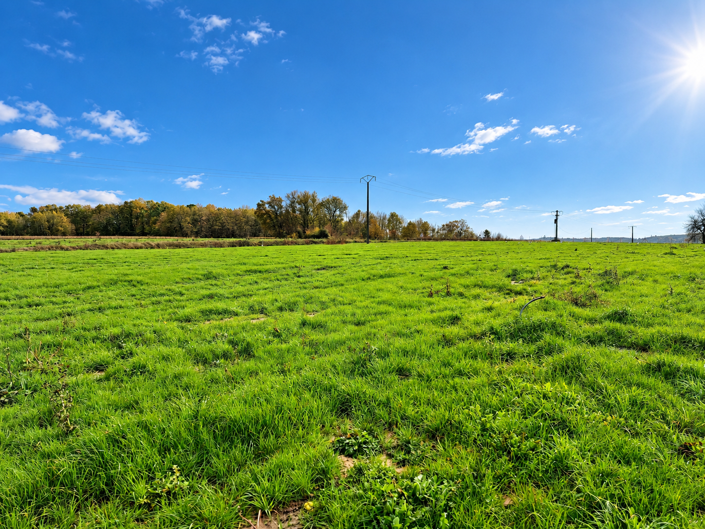 Photo 4 - Terrain à bâtir – 1554 m²