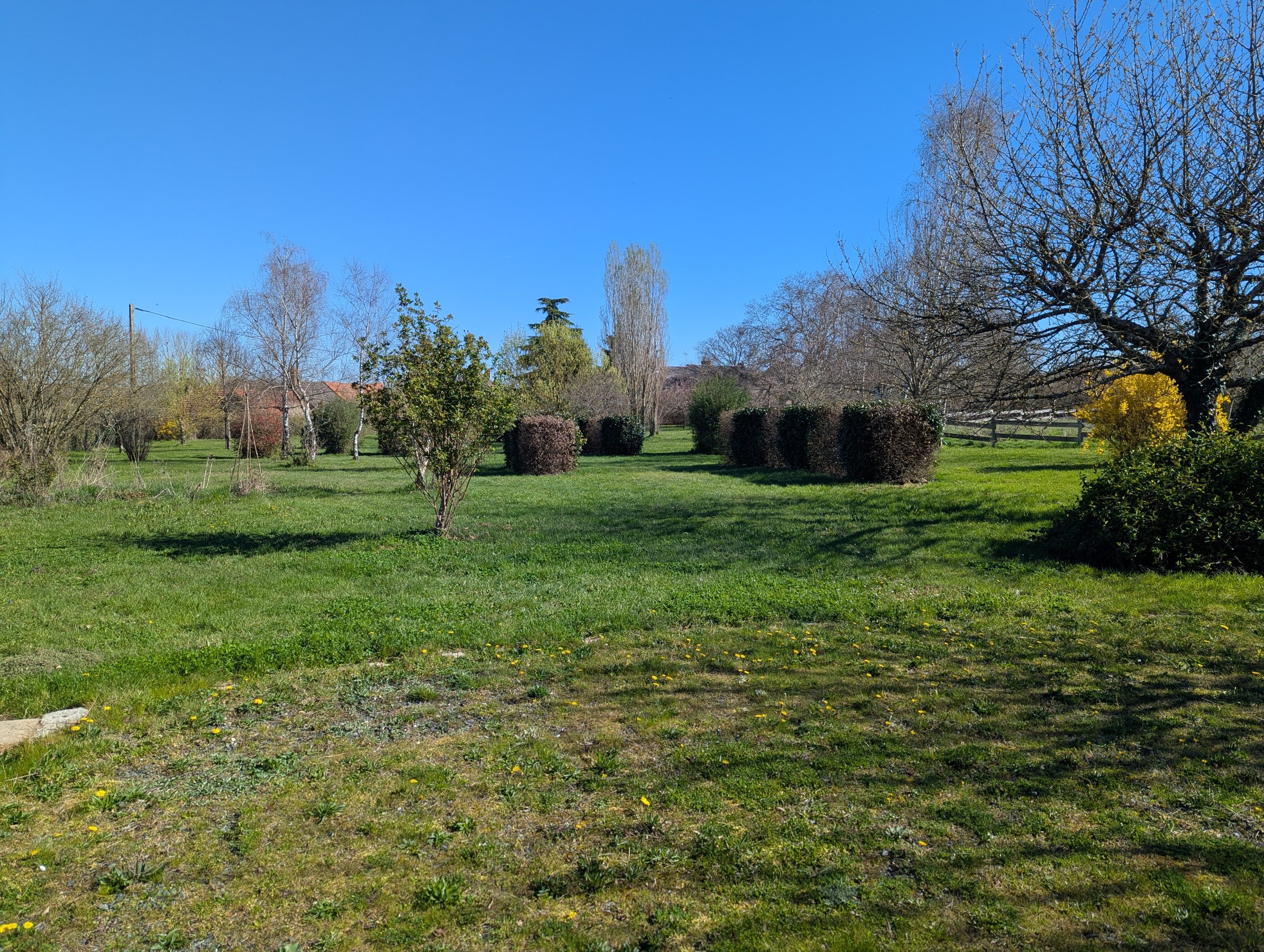 Photo 3 - Domaine de caractère au cœur du Berry – charme, nature et sérénité !