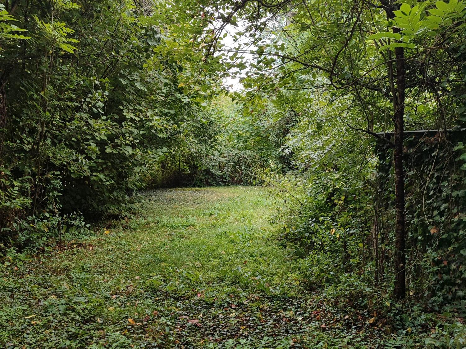 Photo 4 - Maison de campagne
