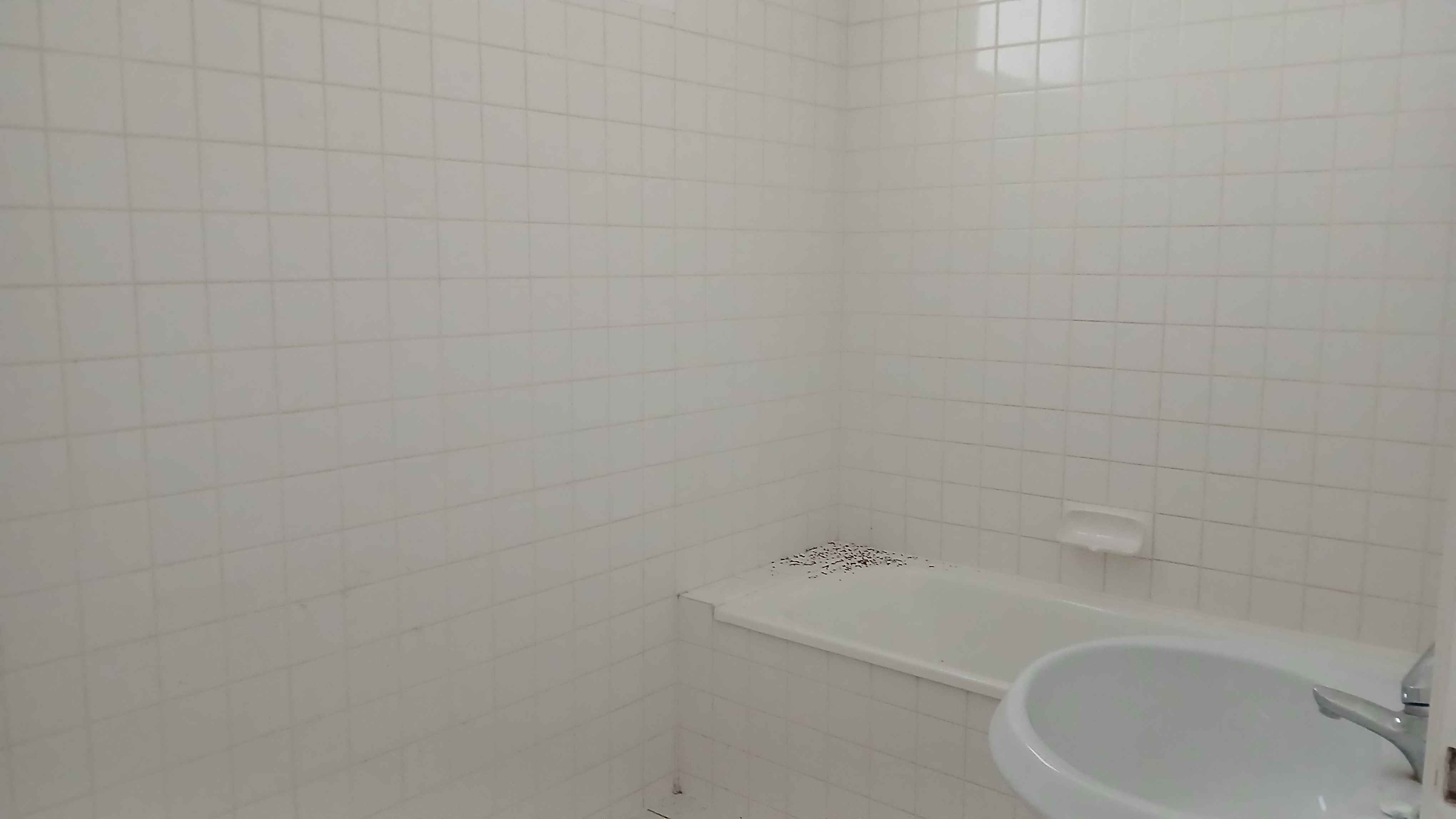 Photo 14 - Ferme 6.2ha, 4 logements, 300 m² dépendances