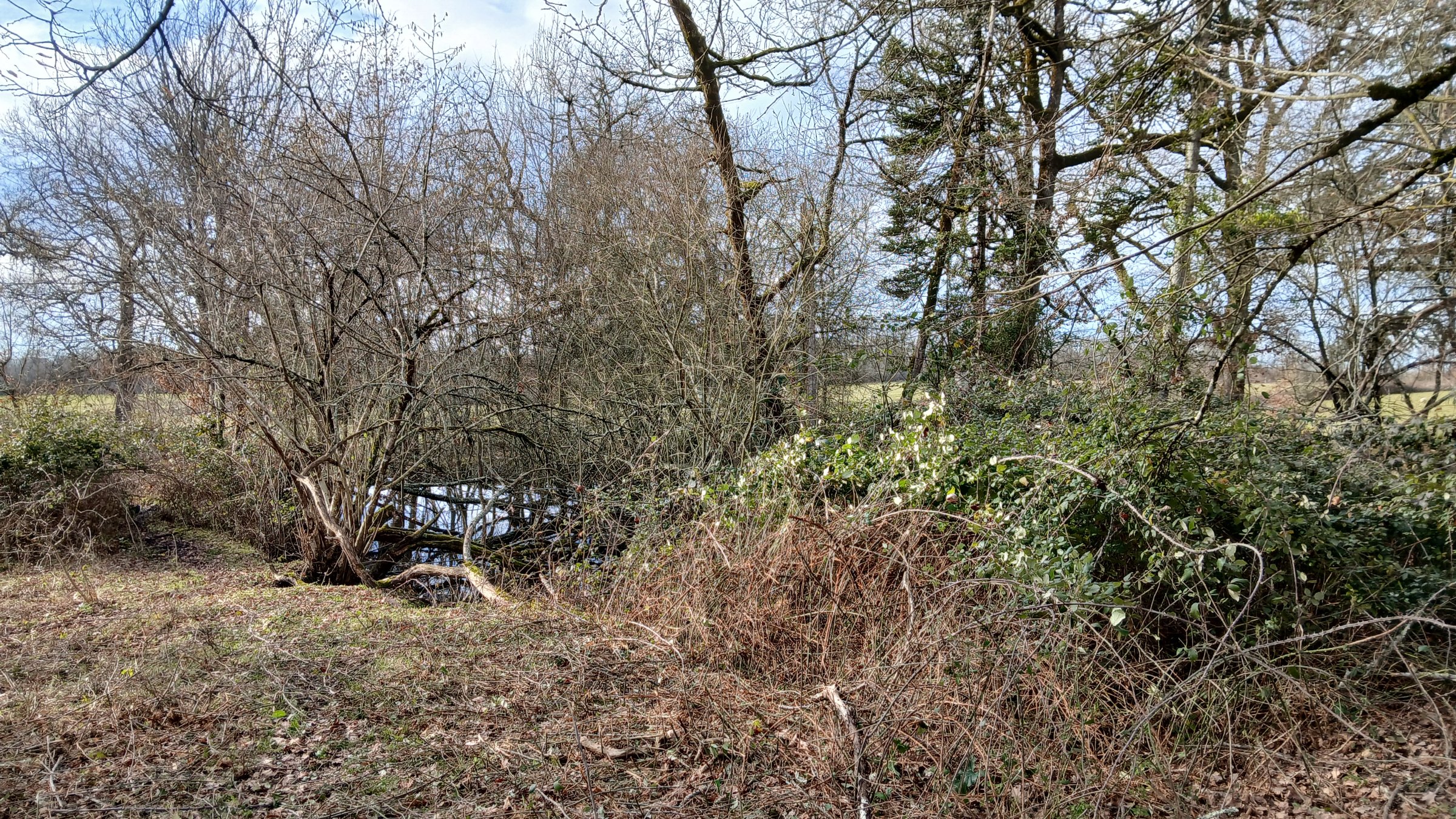 Photo 27 - Ferme 6.2ha, 4 logements, 300 m² dépendances
