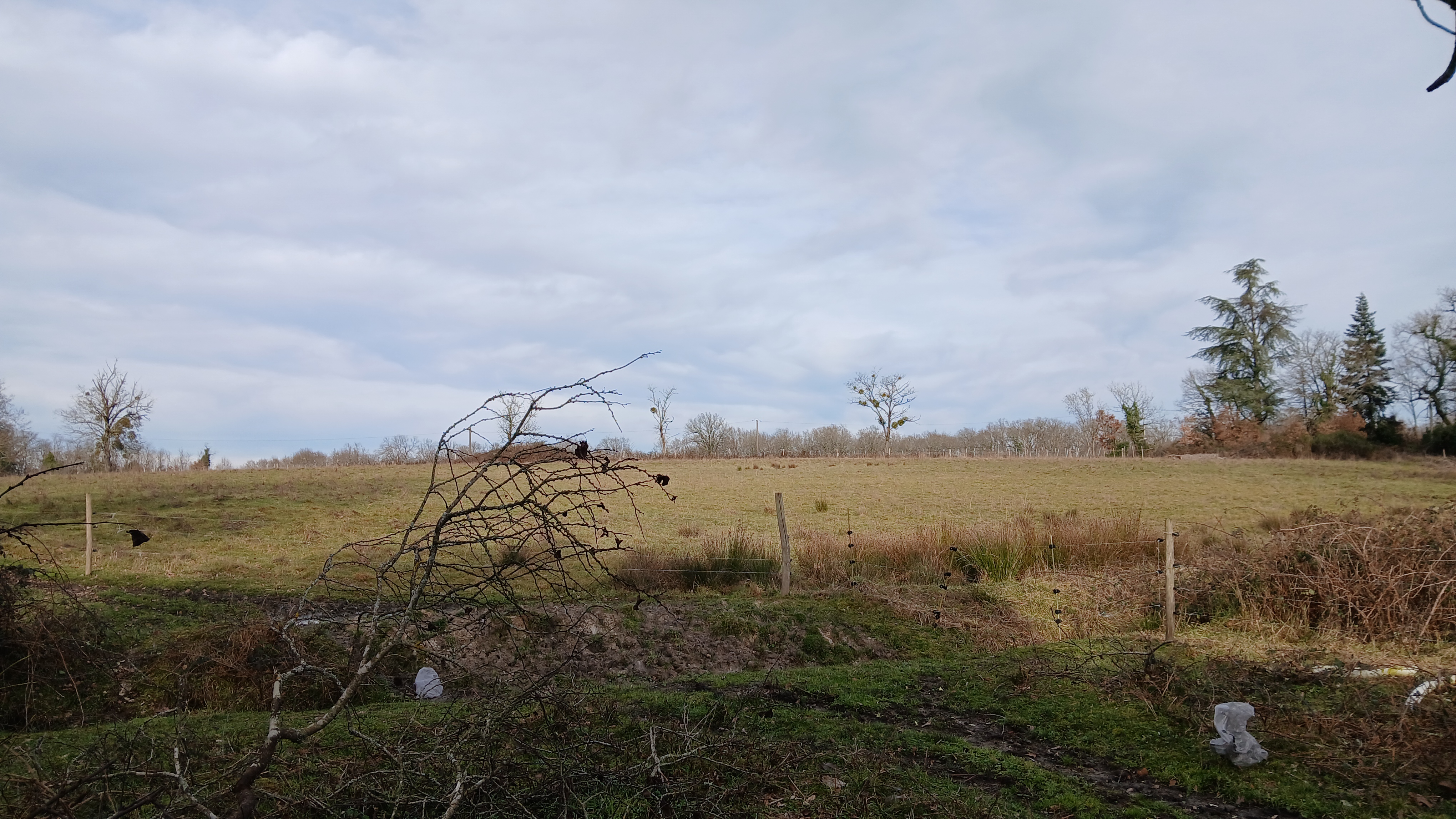 Photo 30 - Ferme 6.2ha, 4 logements, 300 m² dépendances