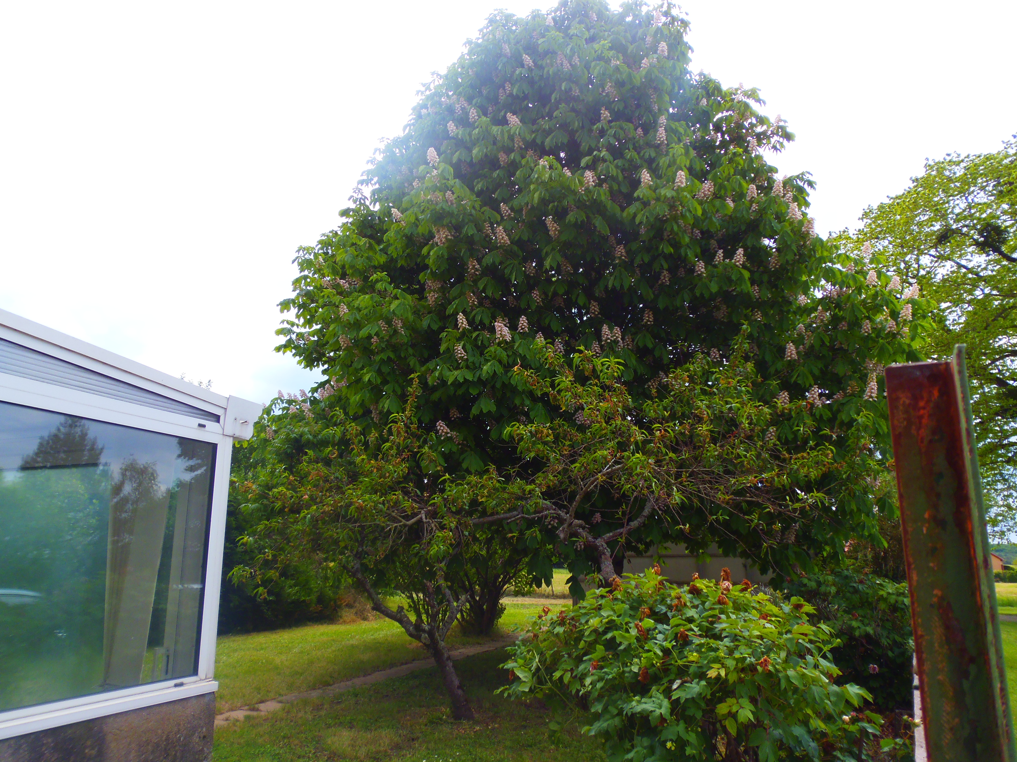 Photo 7 - Maison avec terrain de 4 500 m² !