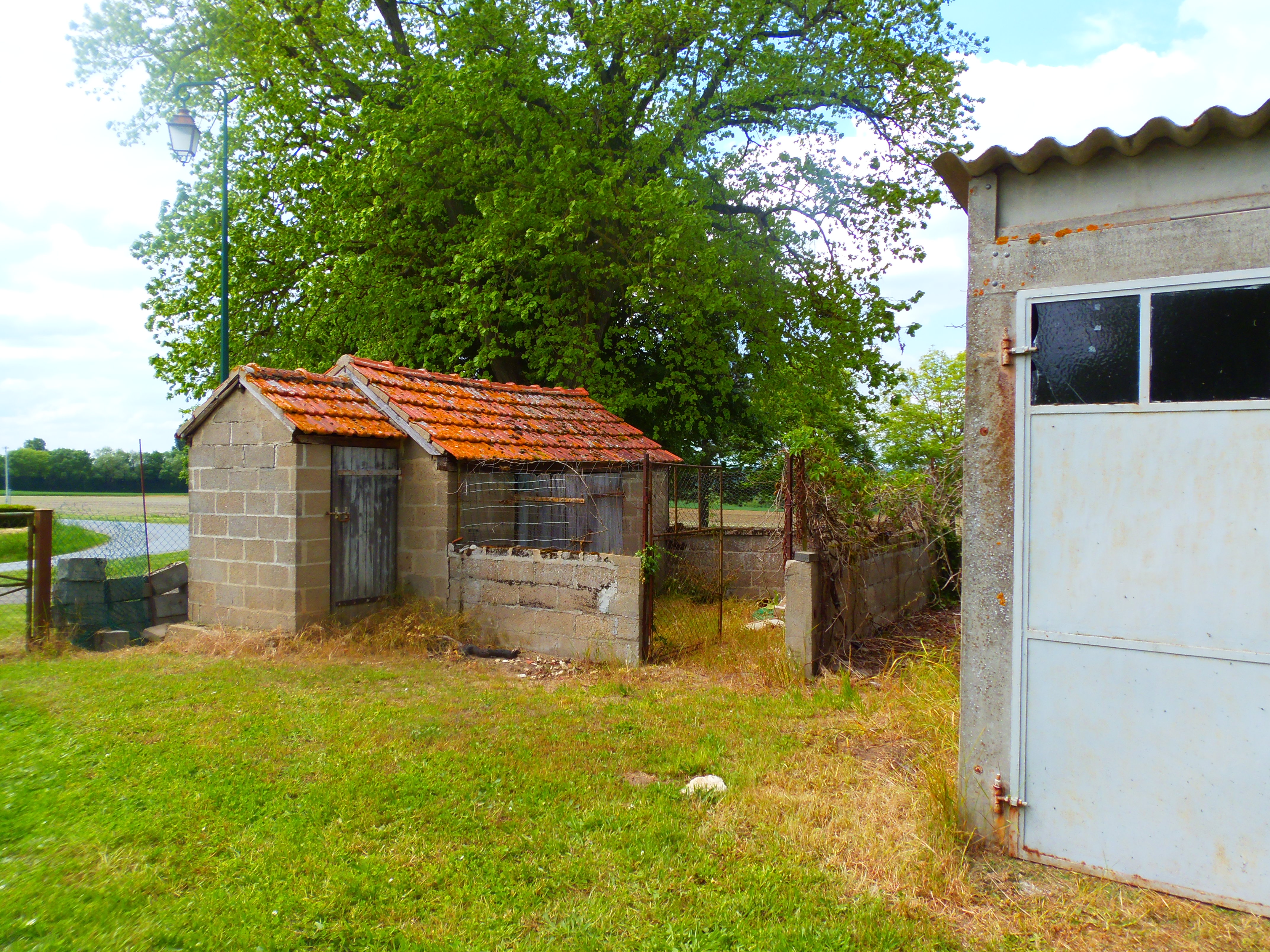 Photo 10 - Maison avec terrain de 4 500 m² !