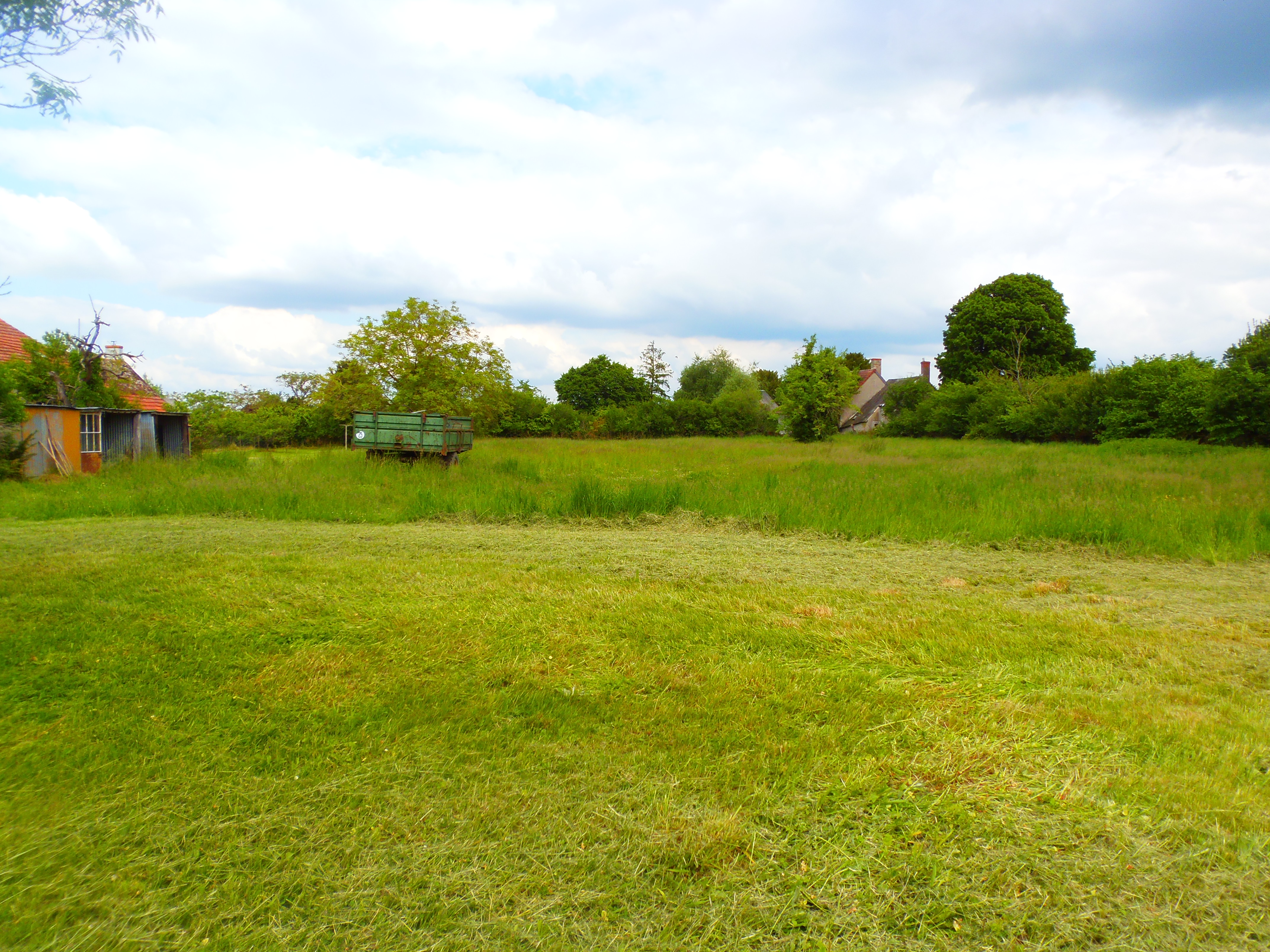 Photo 11 - Maison avec terrain de 4 500 m² !