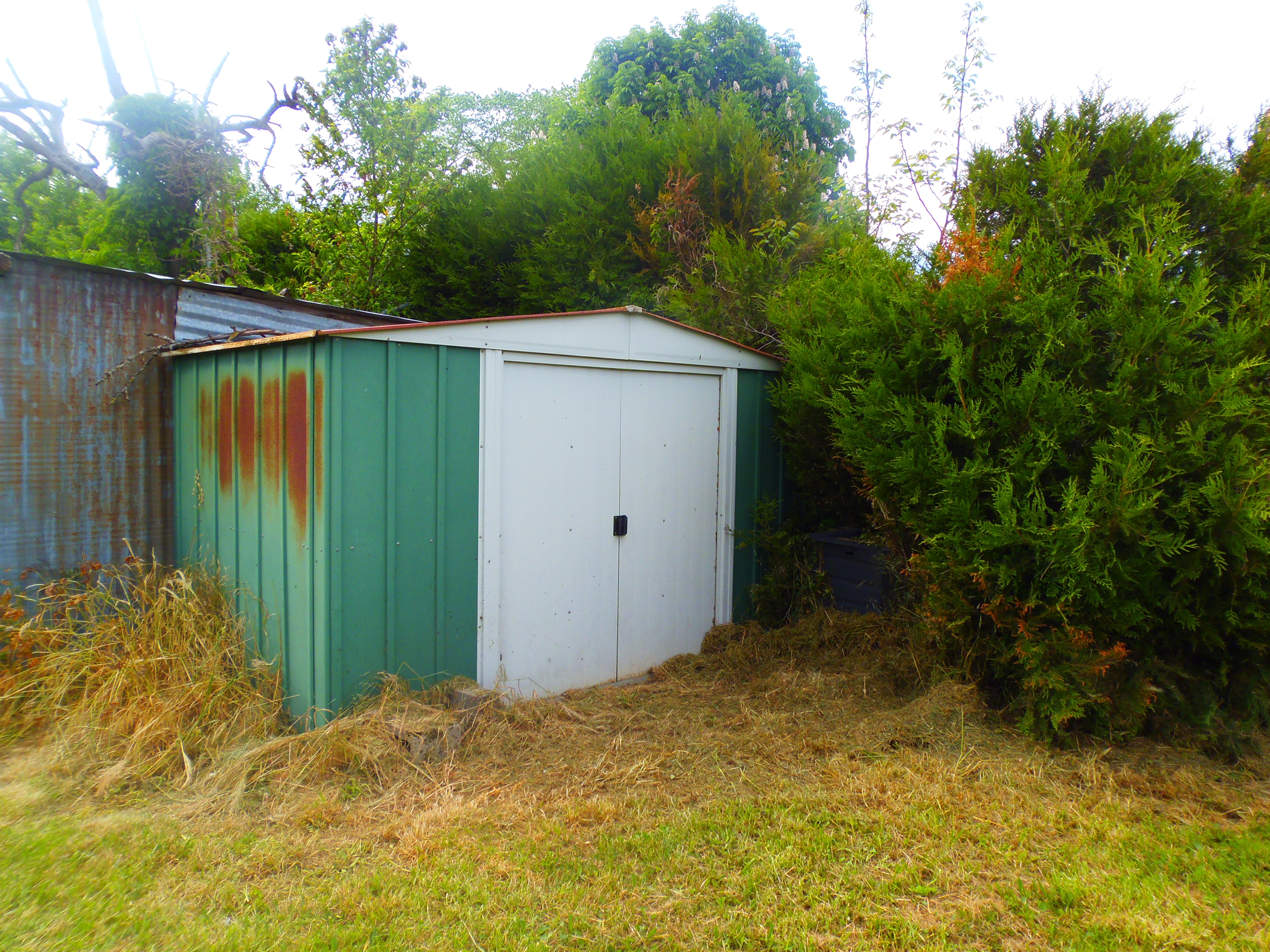 Photo 13 - Maison avec terrain de 4 500 m² !