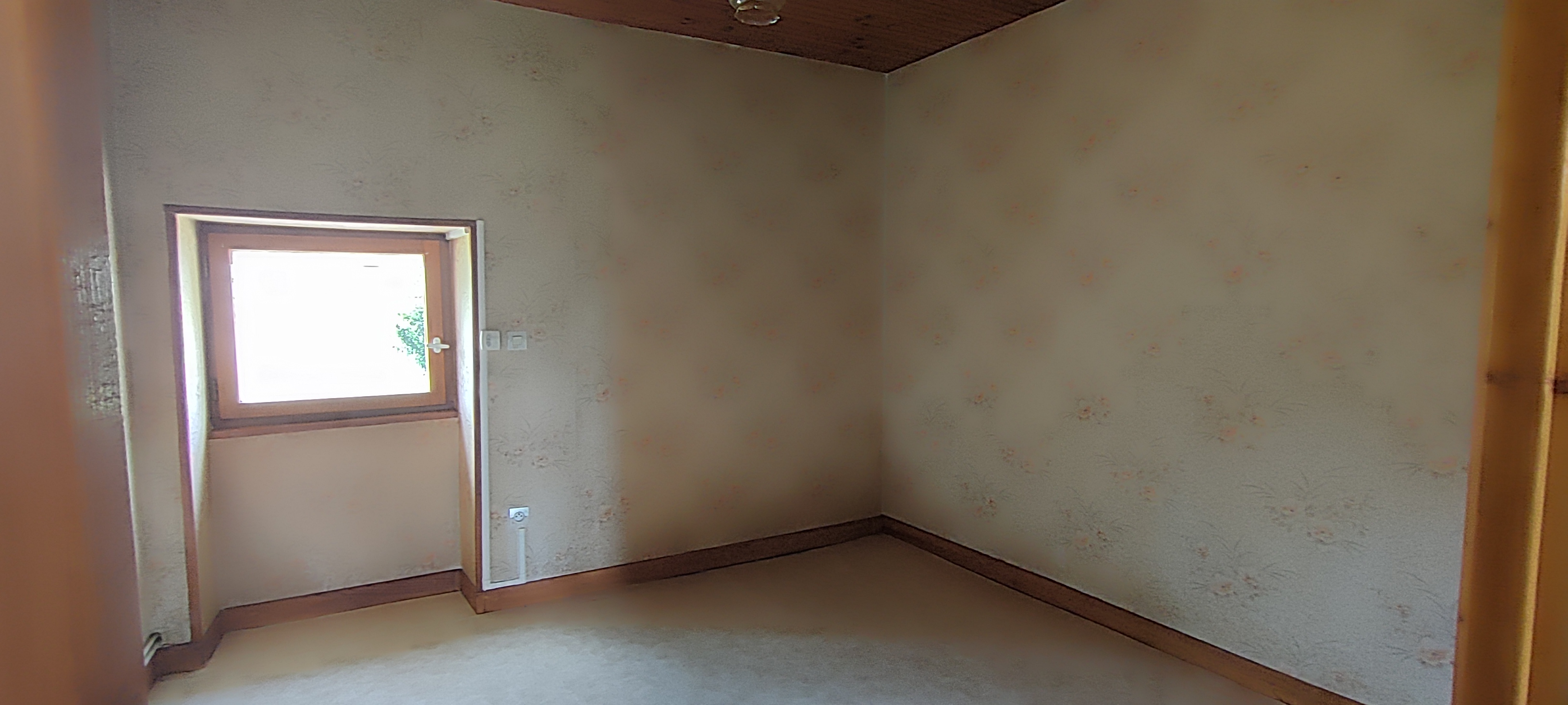 Photo 18 - Maison avec terrain de 4 500 m² !