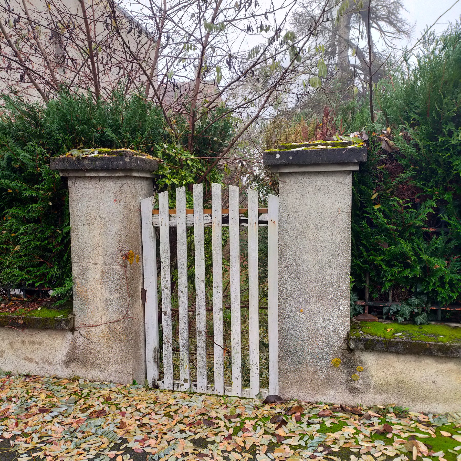 Photo 3 - maison de ville à rénover