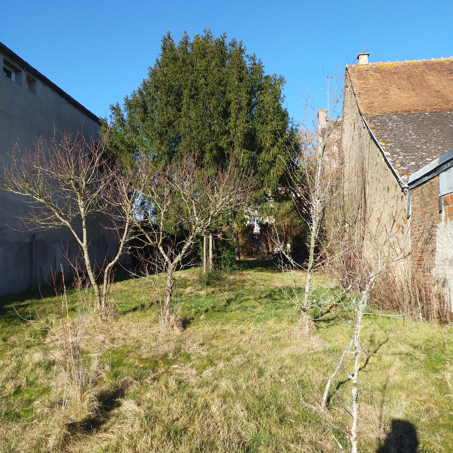 Photo 14 - maison de ville à rénover