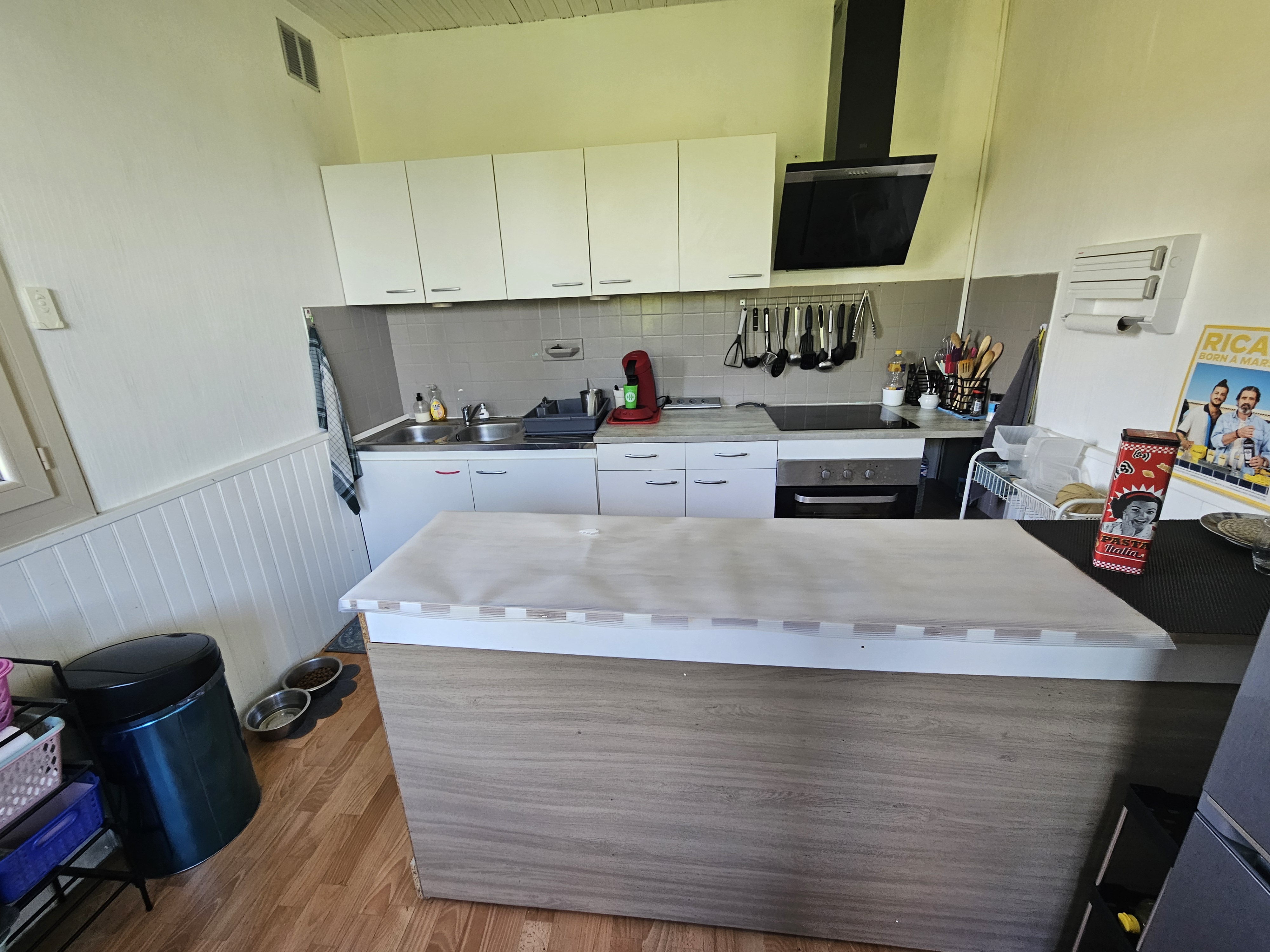 Maison sur sous-sol total avec locataire - Photo 3