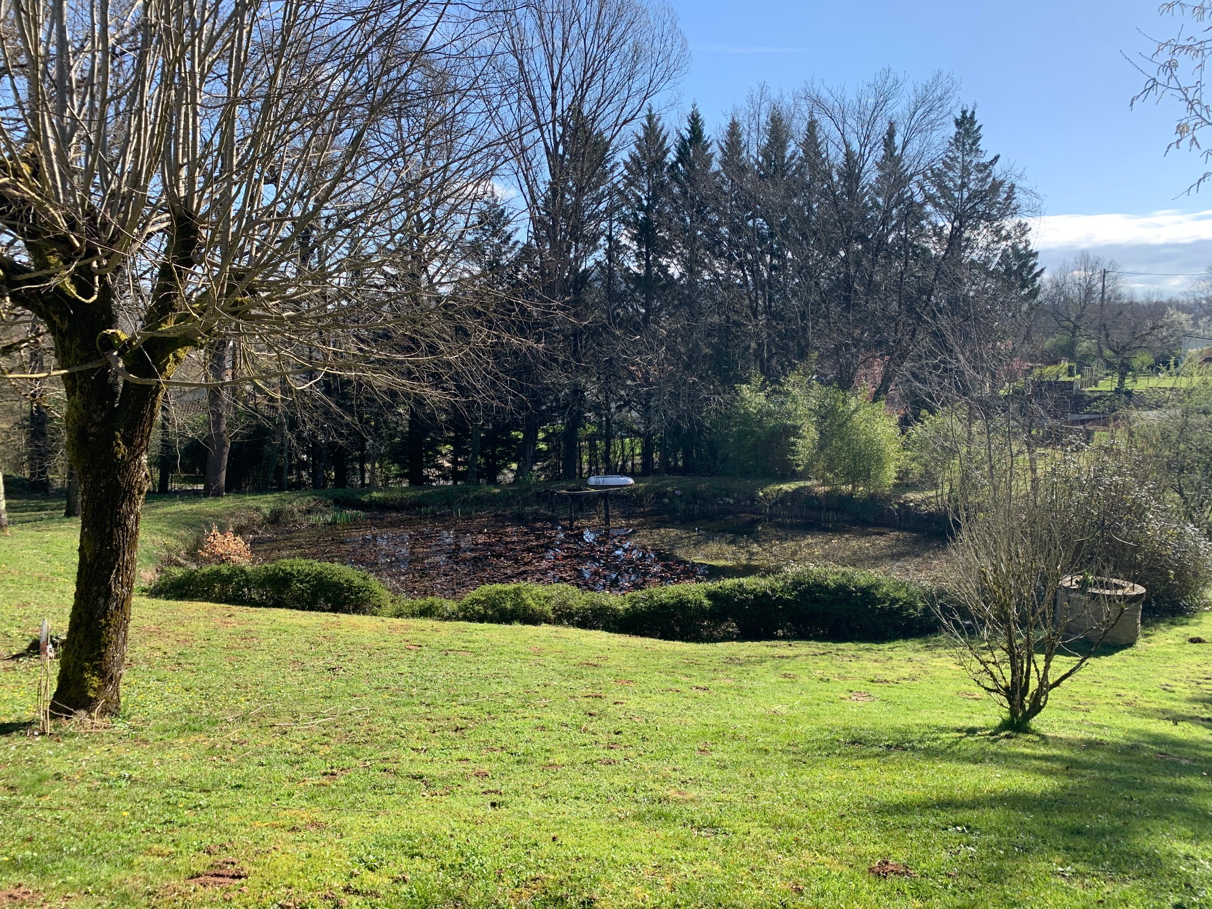 Propriété de deux maisons avec parc