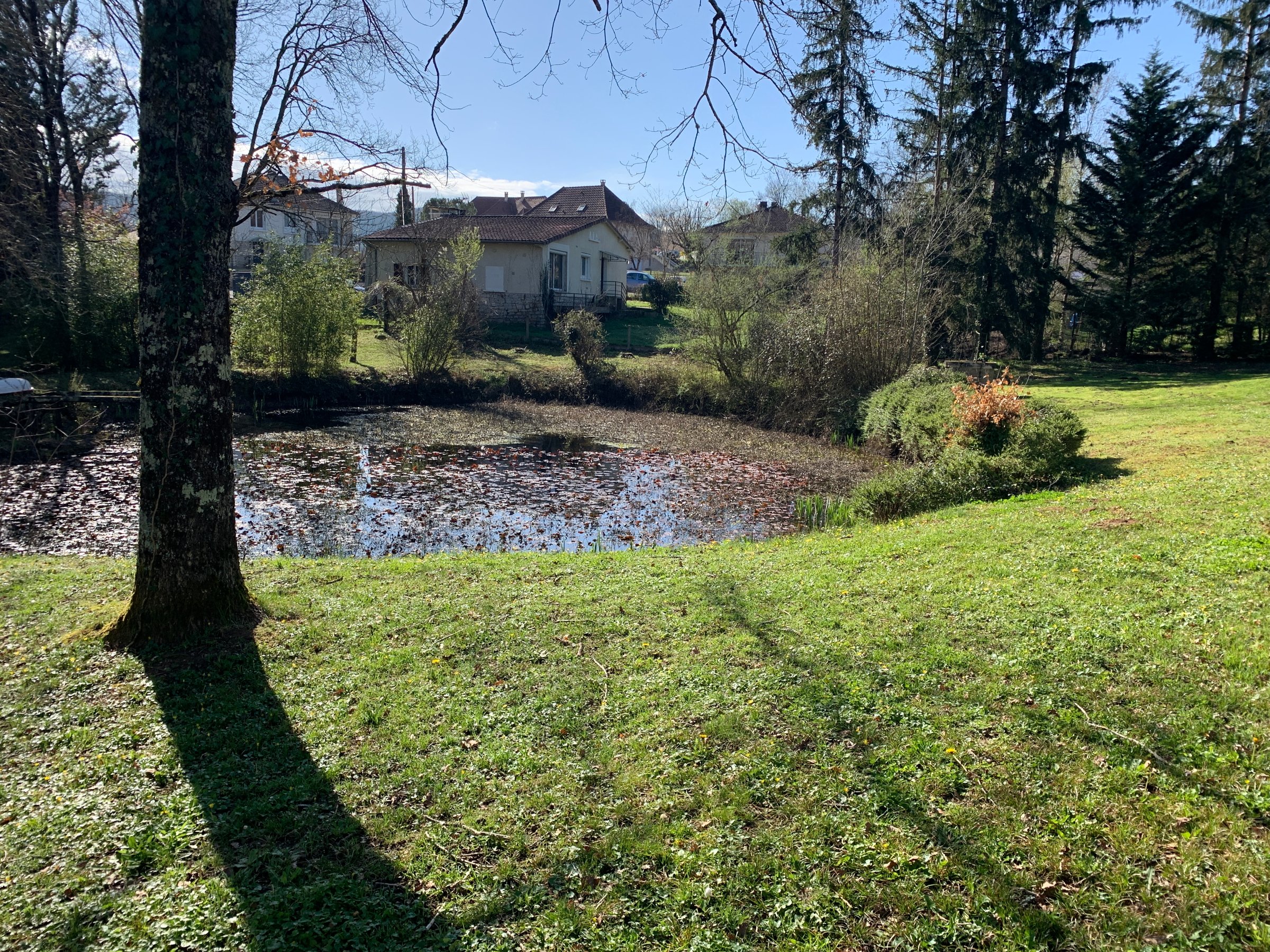 Photo 25 - Propriété de deux maisons avec parc
