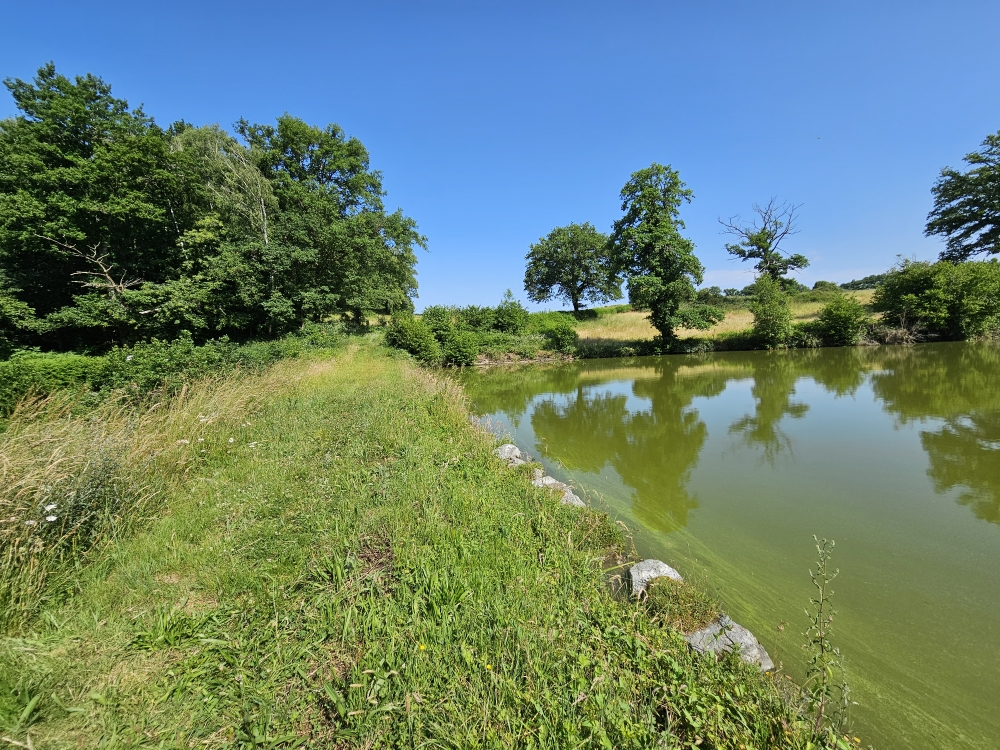 Photo 3 - ETANG DE LOISIRS