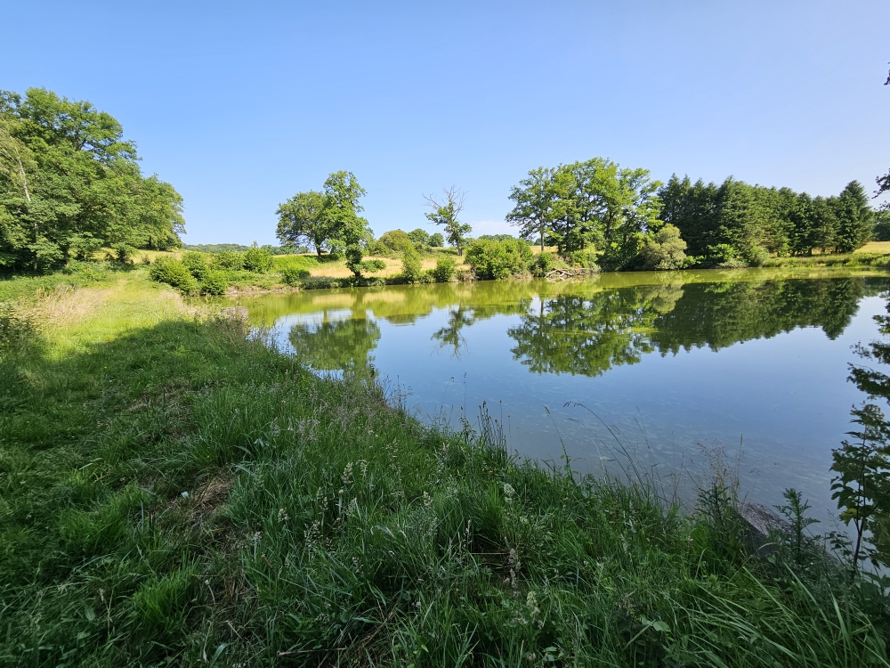 Photo 5 - ETANG DE LOISIRS