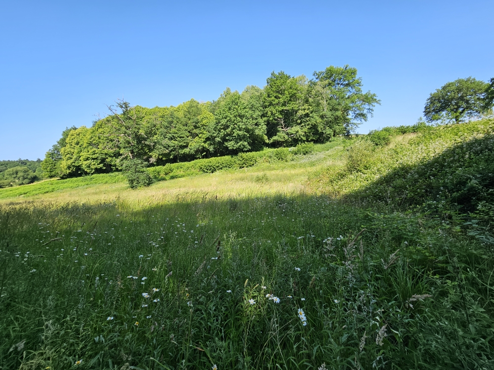 Photo 6 - ETANG DE LOISIRS