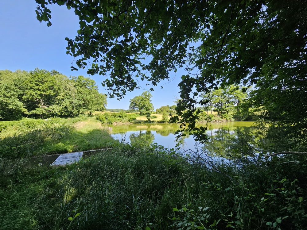Photo 7 - ETANG DE LOISIRS