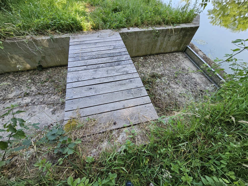 Photo 8 - ETANG DE LOISIRS