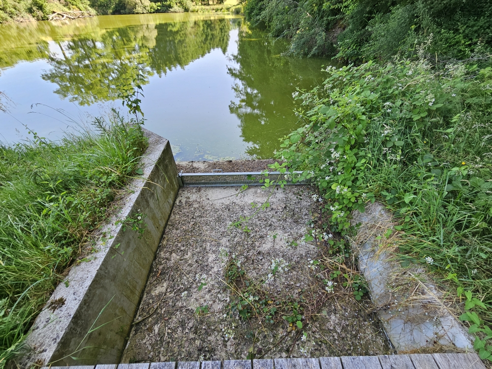 Photo 9 - ETANG DE LOISIRS