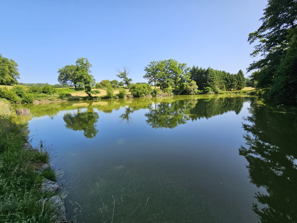 Photo 10 - ETANG DE LOISIRS