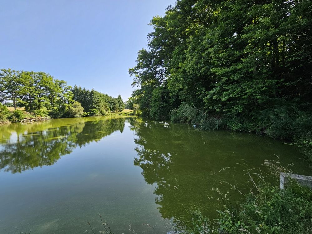 Photo 11 - ETANG DE LOISIRS
