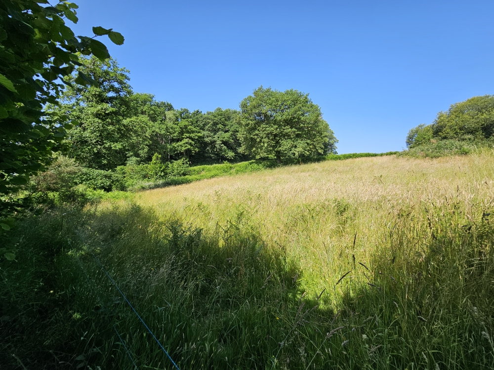Photo 12 - ETANG DE LOISIRS