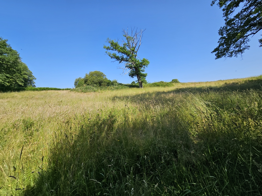 Photo 13 - ETANG DE LOISIRS