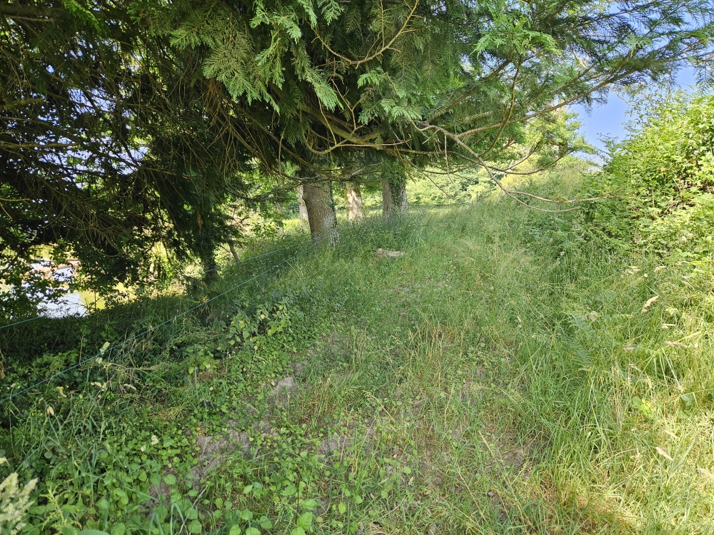 Photo 15 - ETANG DE LOISIRS