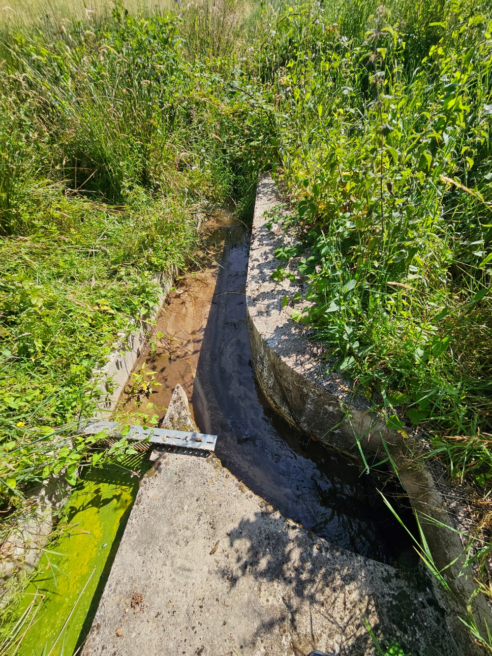 Photo 18 - ETANG DE LOISIRS