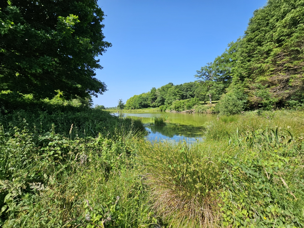 Photo 19 - ETANG DE LOISIRS
