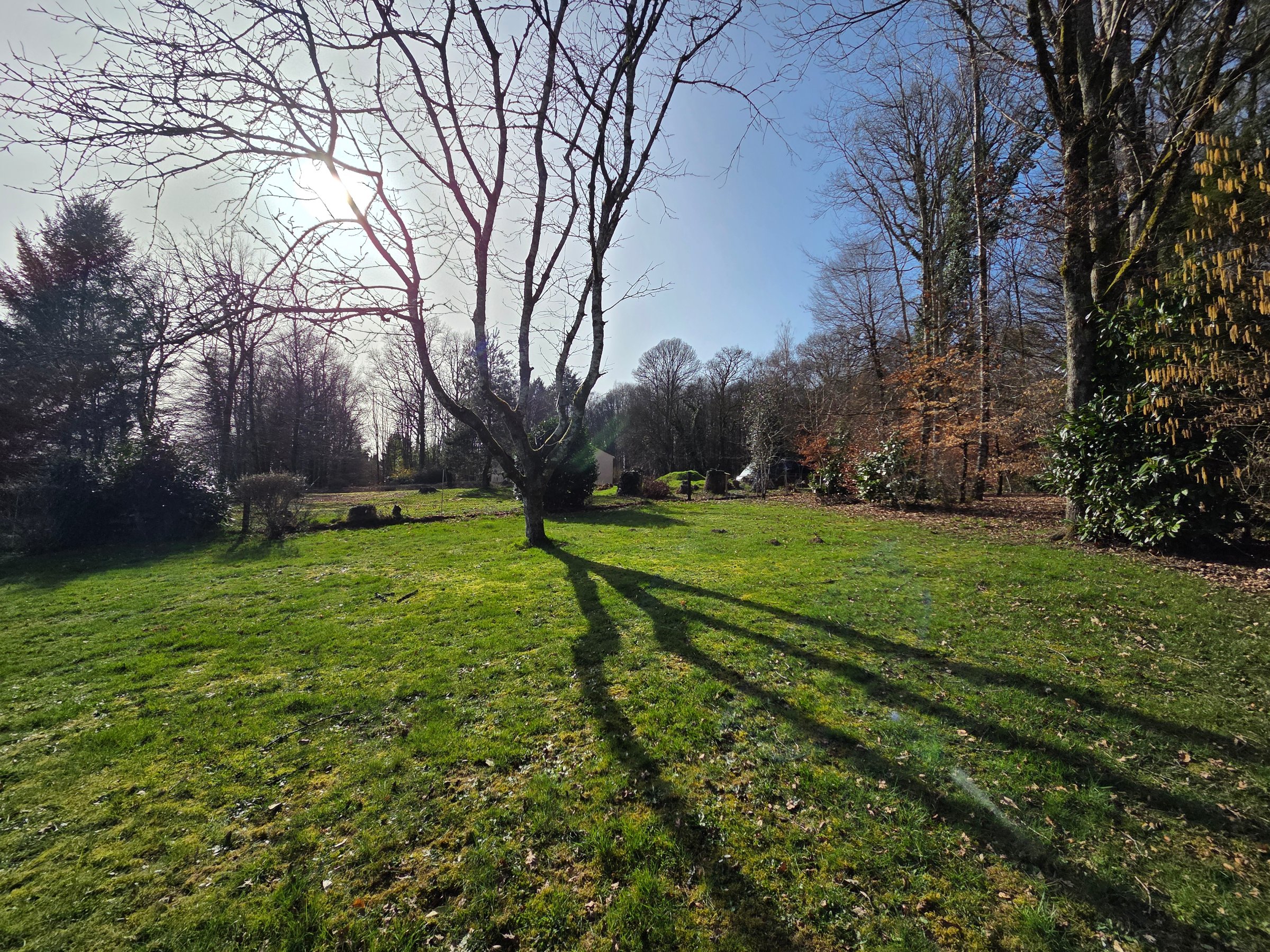 Photo 26 - Maison avec grange et garages attenant sur terrain clos de 3648m2