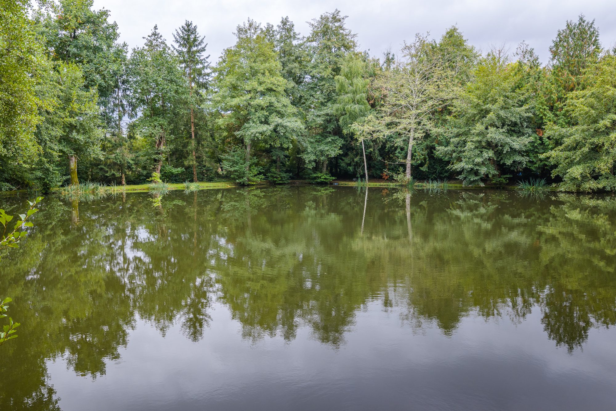 Photo 2 - ETANG