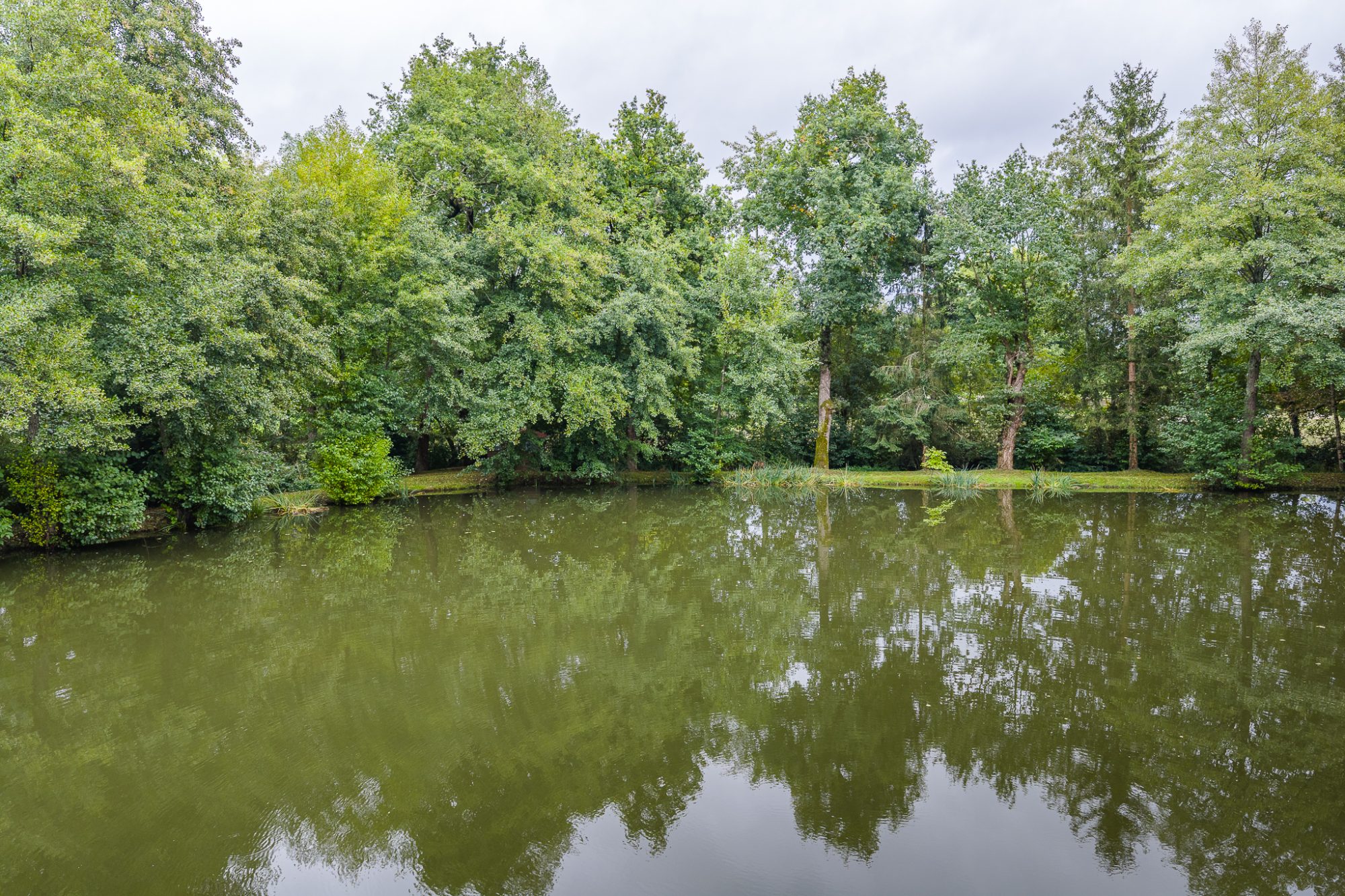 Photo 3 - ETANG