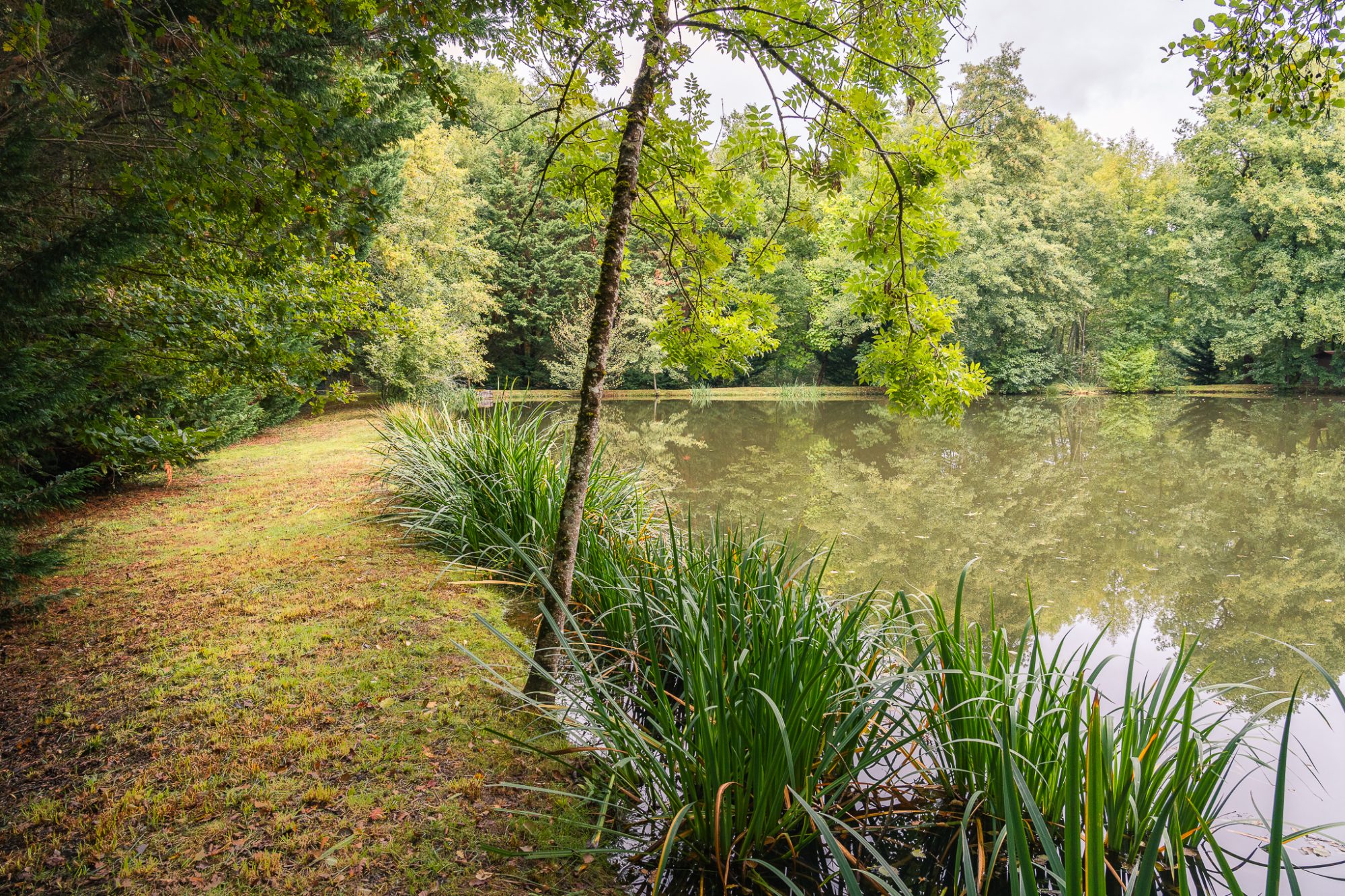 Photo 4 - ETANG
