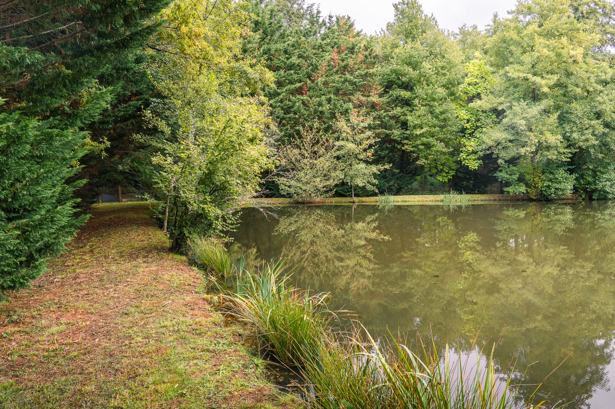 Photo 5 - ETANG